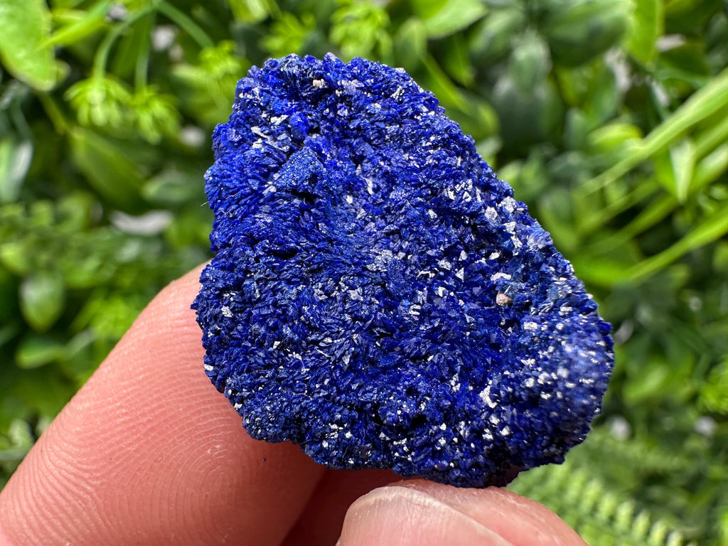 Crystallized Azurite-Kerrouchen,Morocco-Blue Azurite Specimen-High Quality Blue Azurite-Azurite Mineral Specimen, gemmy,lustrous of Azurite
