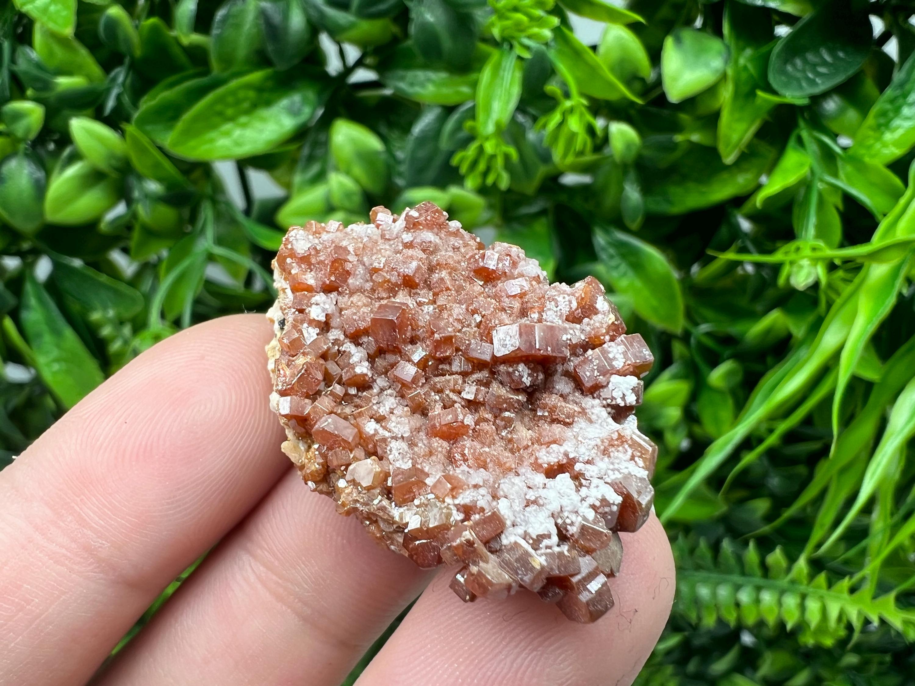Red Vanadinite on Barite from Marocco,crystal minerals Speciment cluster Vanadinite crystal Vanadinite Geology Vanadinite cluster minerals