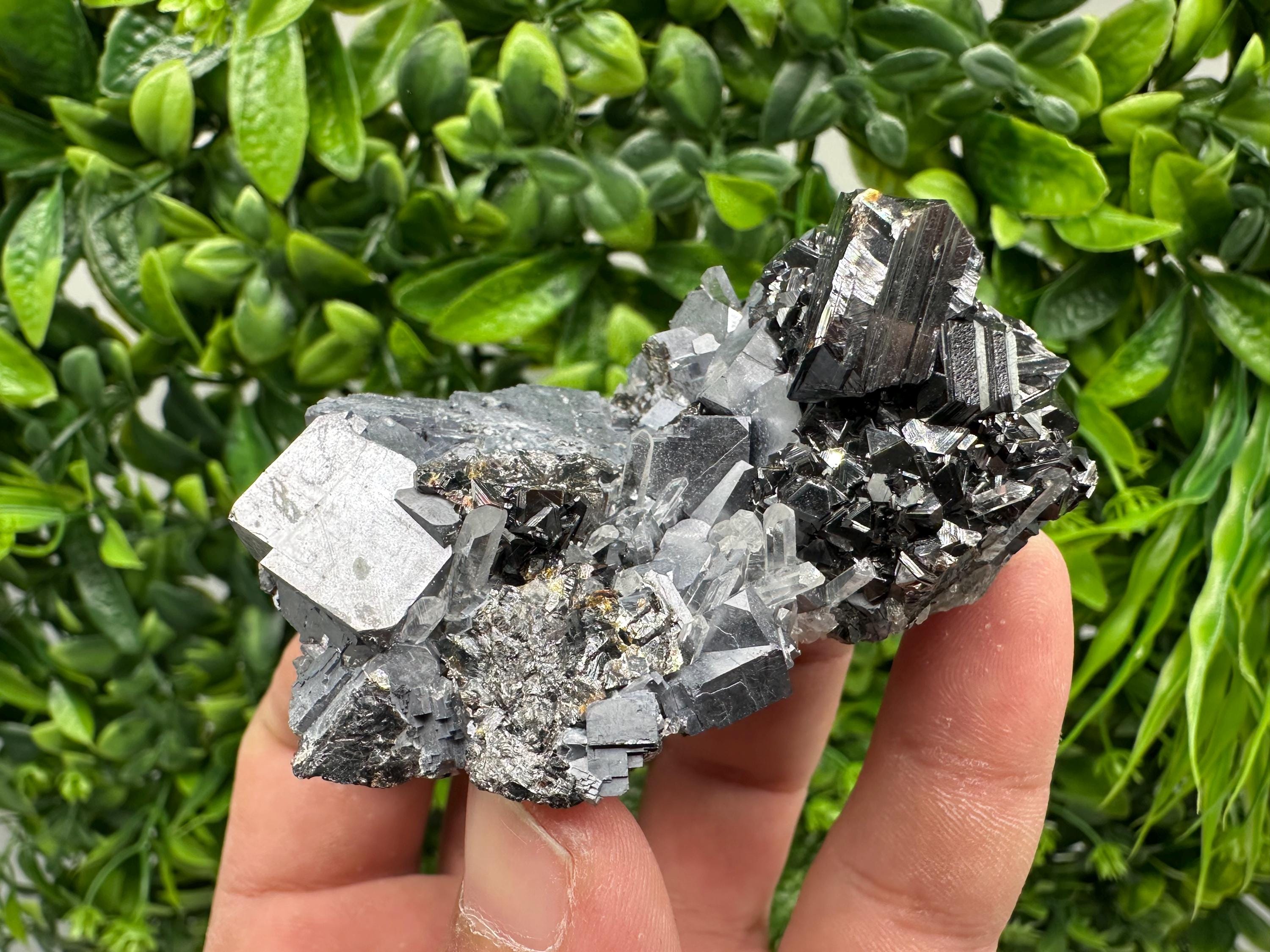 Galena on Sphalerite Mineral Specimen, Borieva Mine Bulgaria