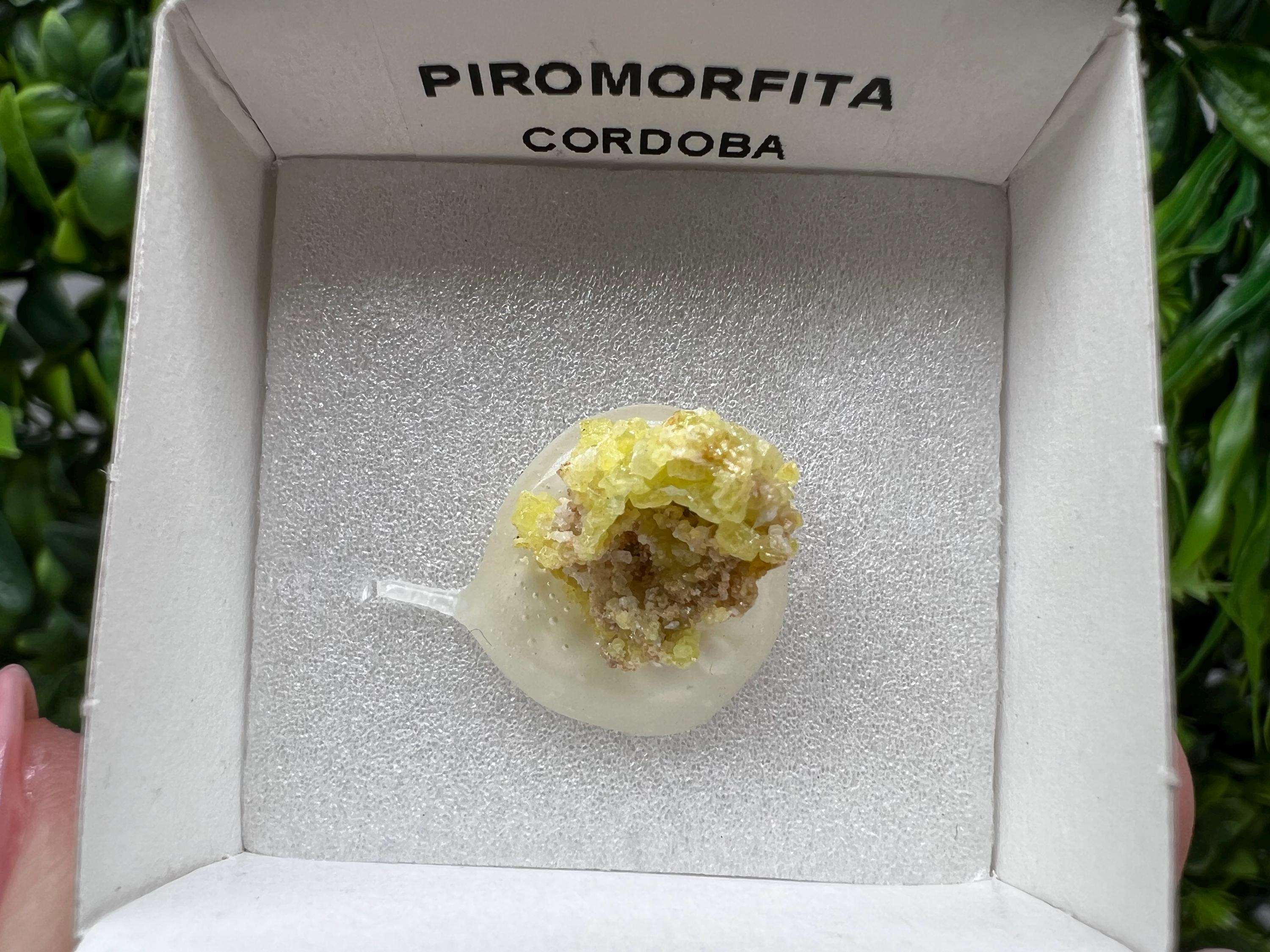 Pyromorphite Stone / Pyromorphite on Matrix / Pyromorphite Crystal / Raw Crystal / Pyromorphite Cluster / Rough Pyromorphite / Pyromorphite