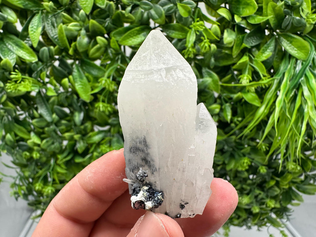 Stunning Sphalerite on  Quarzt from Borieva mine,Madan,Bulgaria,natural,collection mineral specimen,home decor crystal,gift,collection