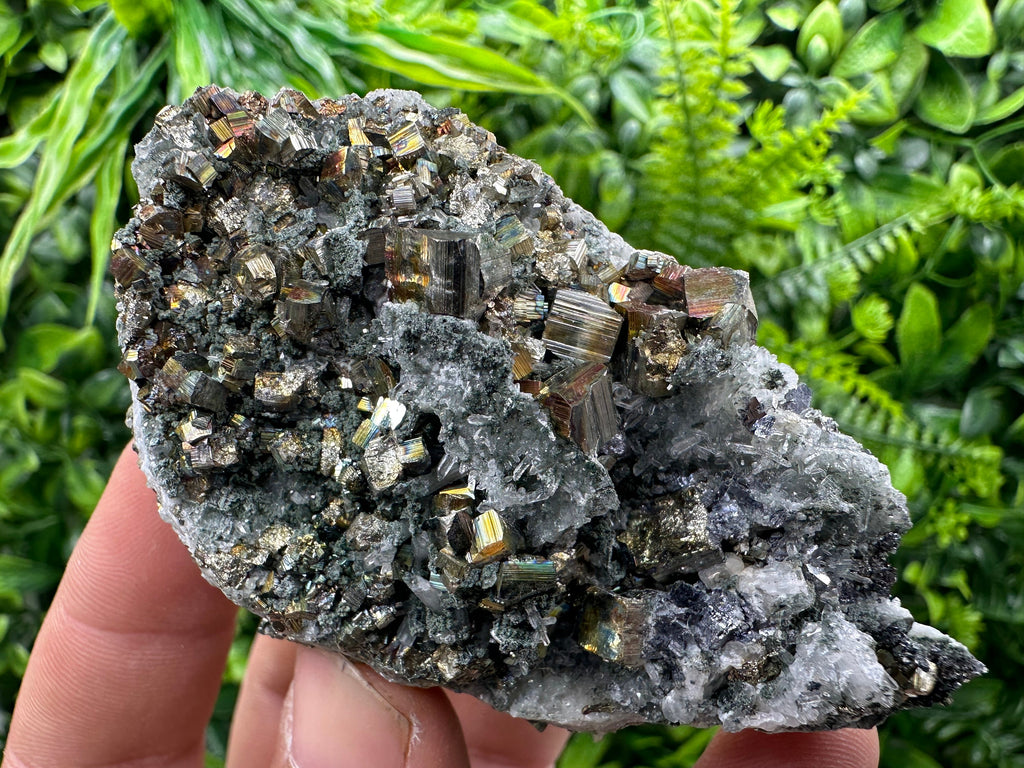 Pyrite on Green Quartz, Borieva Mine Bulgaria, Mineral Specimen