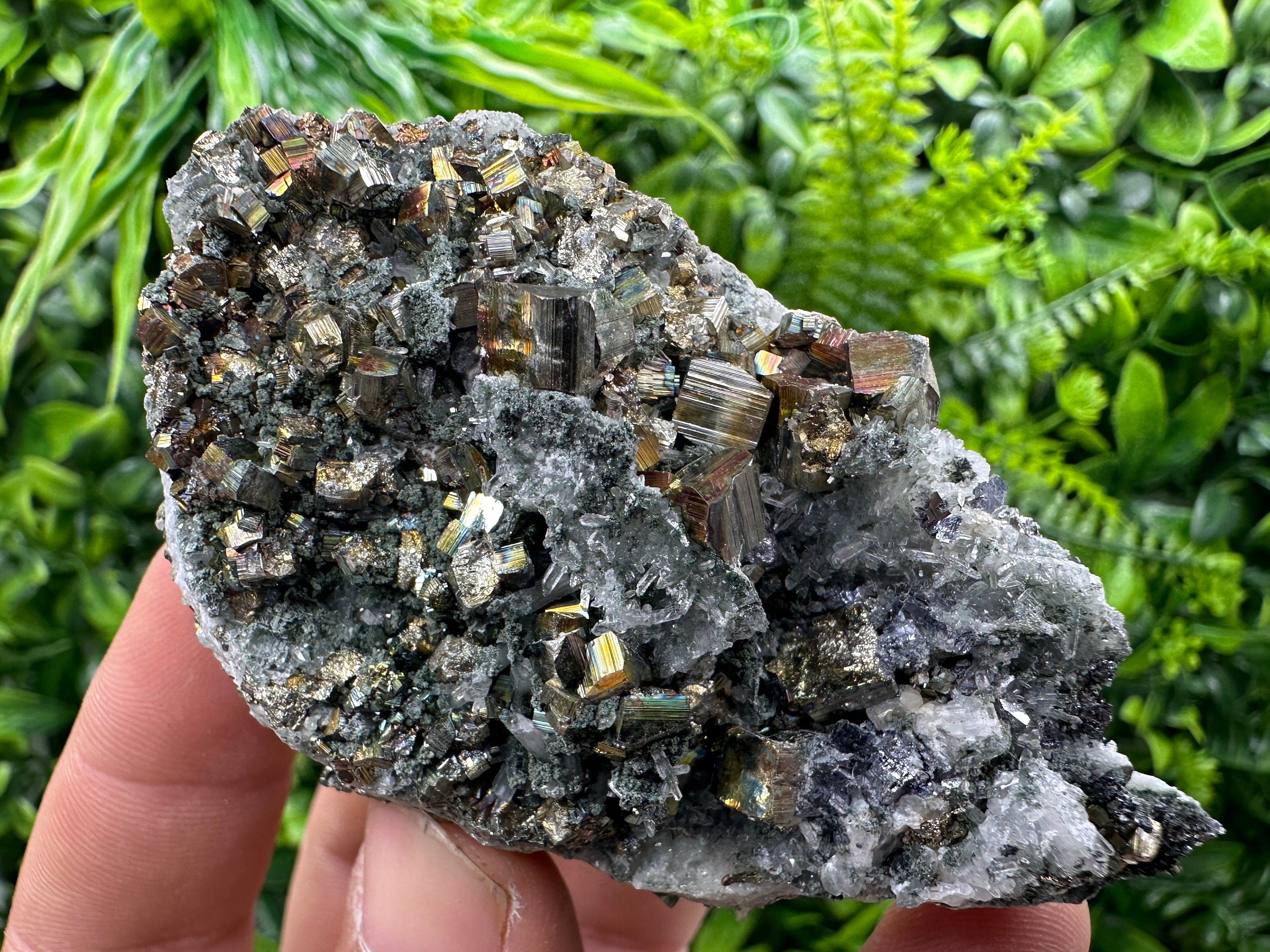 Pyrite on Green Quartz, Borieva Mine Bulgaria, Mineral Specimen