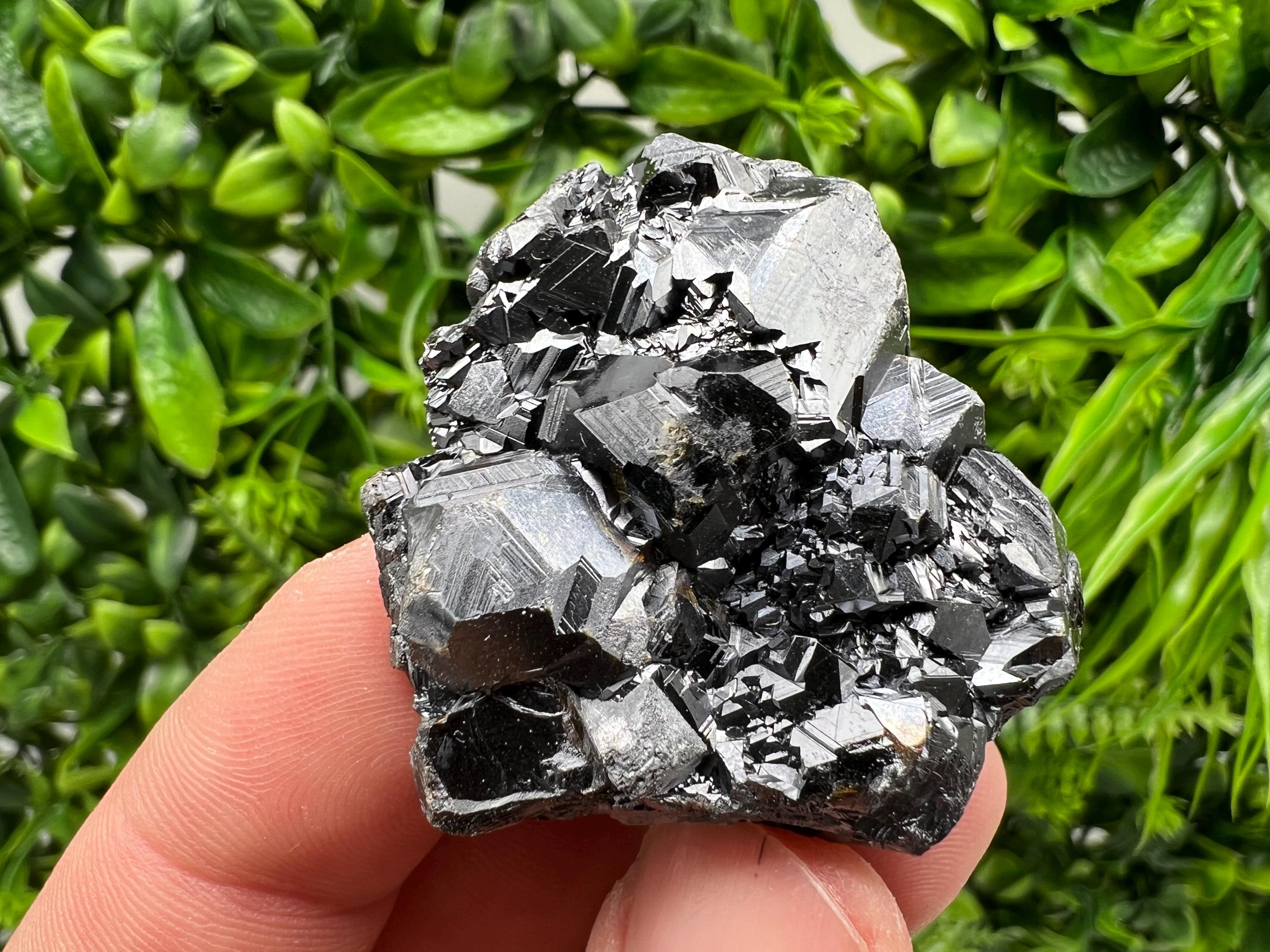 Sphalerite with Chlorite: Borieva Mine, Bulgaria