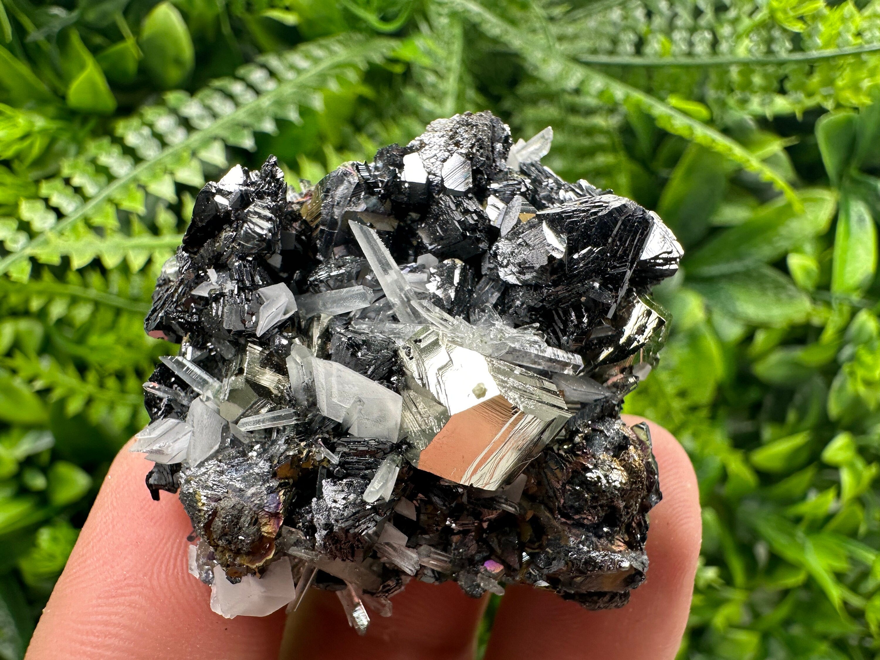 Pyrite Sphalerite Quartz Cluster, Borieva Mine Mineral Specimen