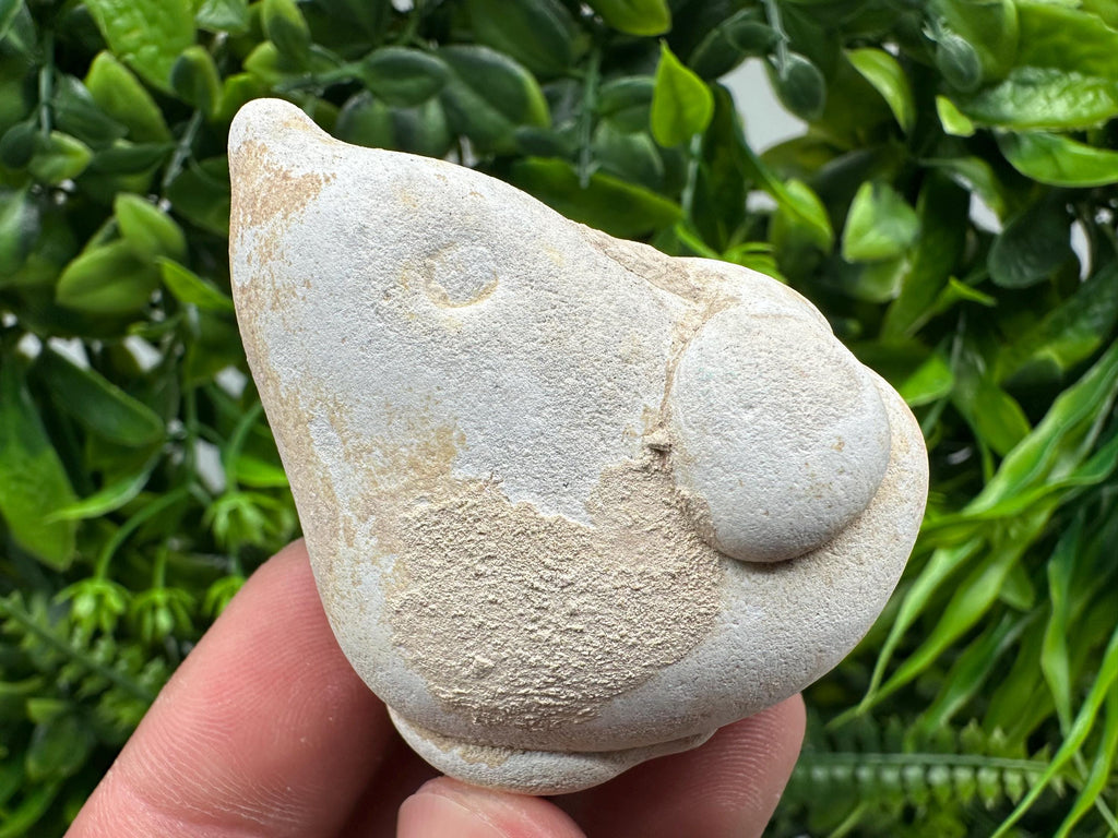 Menalite Crystal: White Fairy Stone, Moroccan A+ Grade