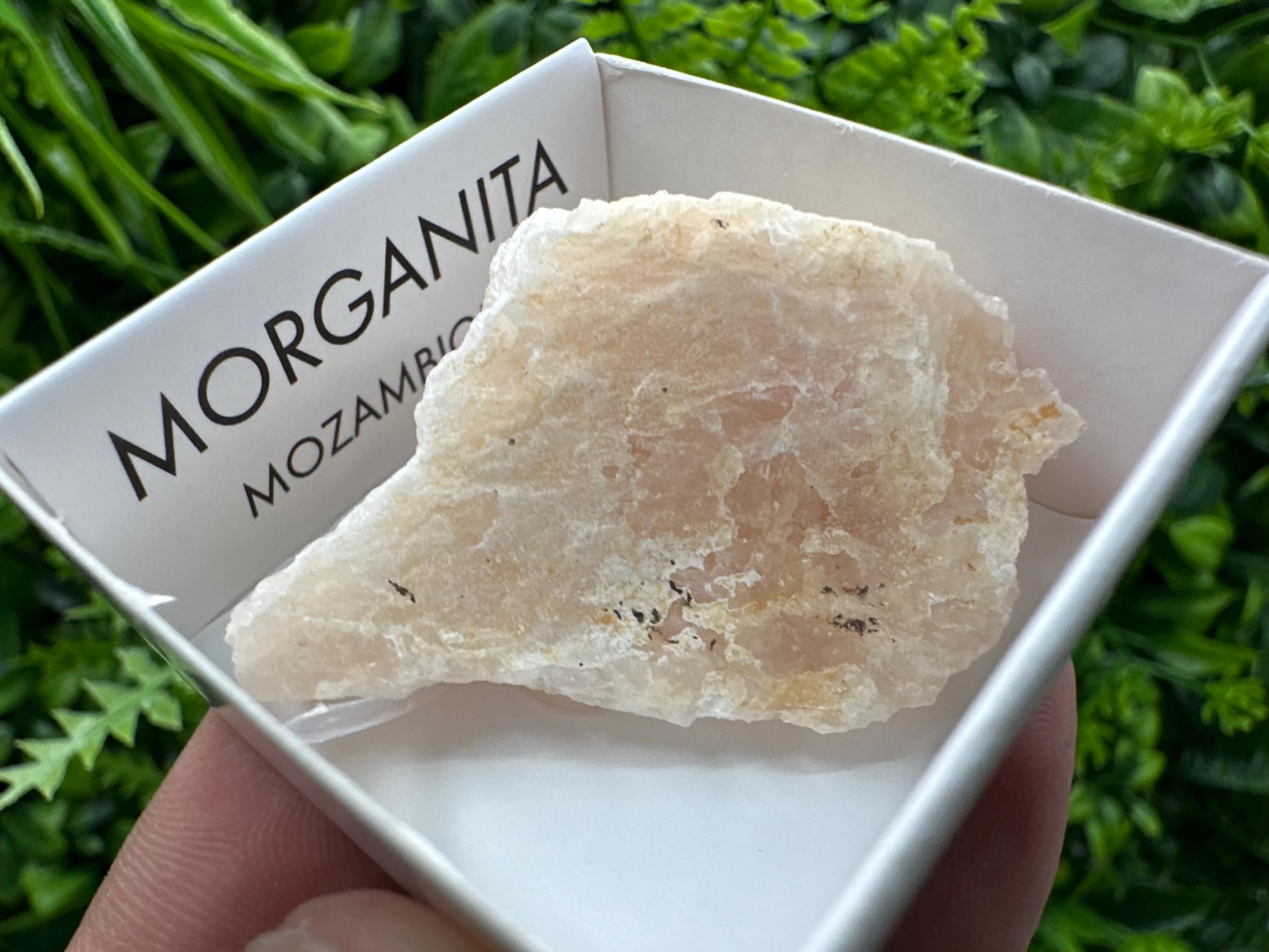 Rare Raw Morganite Specimen: Mozambique Crystal Collection (5/2.5 cm)