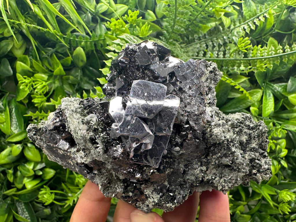 Shiny Galena Sphalerite on Quartz: Natural Mineral Souvenir