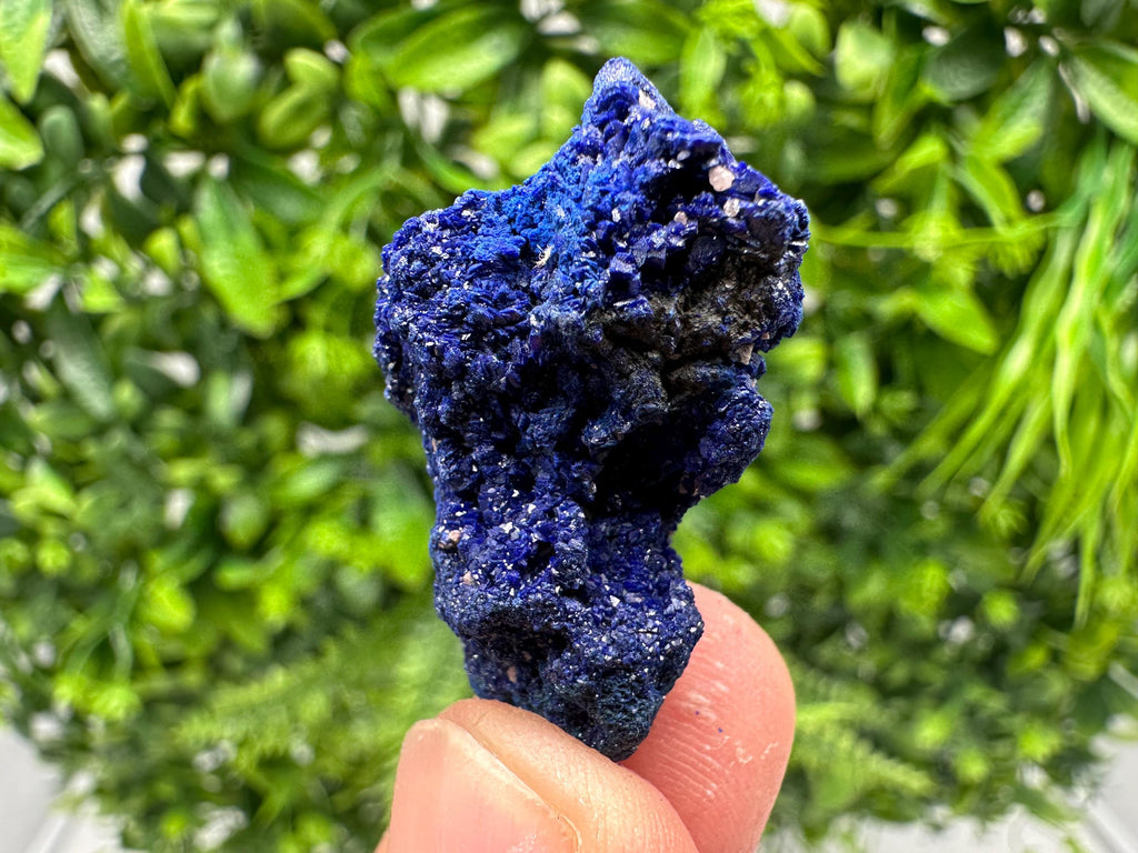 Crystallized Azurite-Kerrouchen,Morocco-Blue Azurite Specimen-High Quality Blue Azurite-Azurite Mineral Specimen, gemmy,lustrous of Azurite
