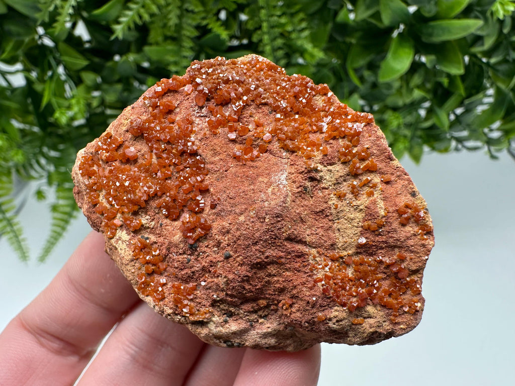 Red Vanadinite on Matrix from Marocco,crystal minerals Speciment cluster Vanadinite crystal Vanadinite Geology Vanadinite cluster minerals
