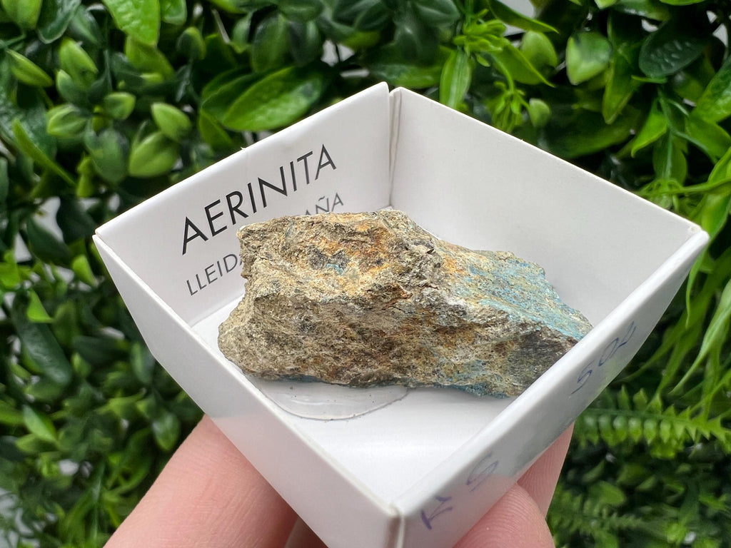 Rare Raw Aerinite Mineral Specimen: Lleida Spain Crystal, 4/2.5cm