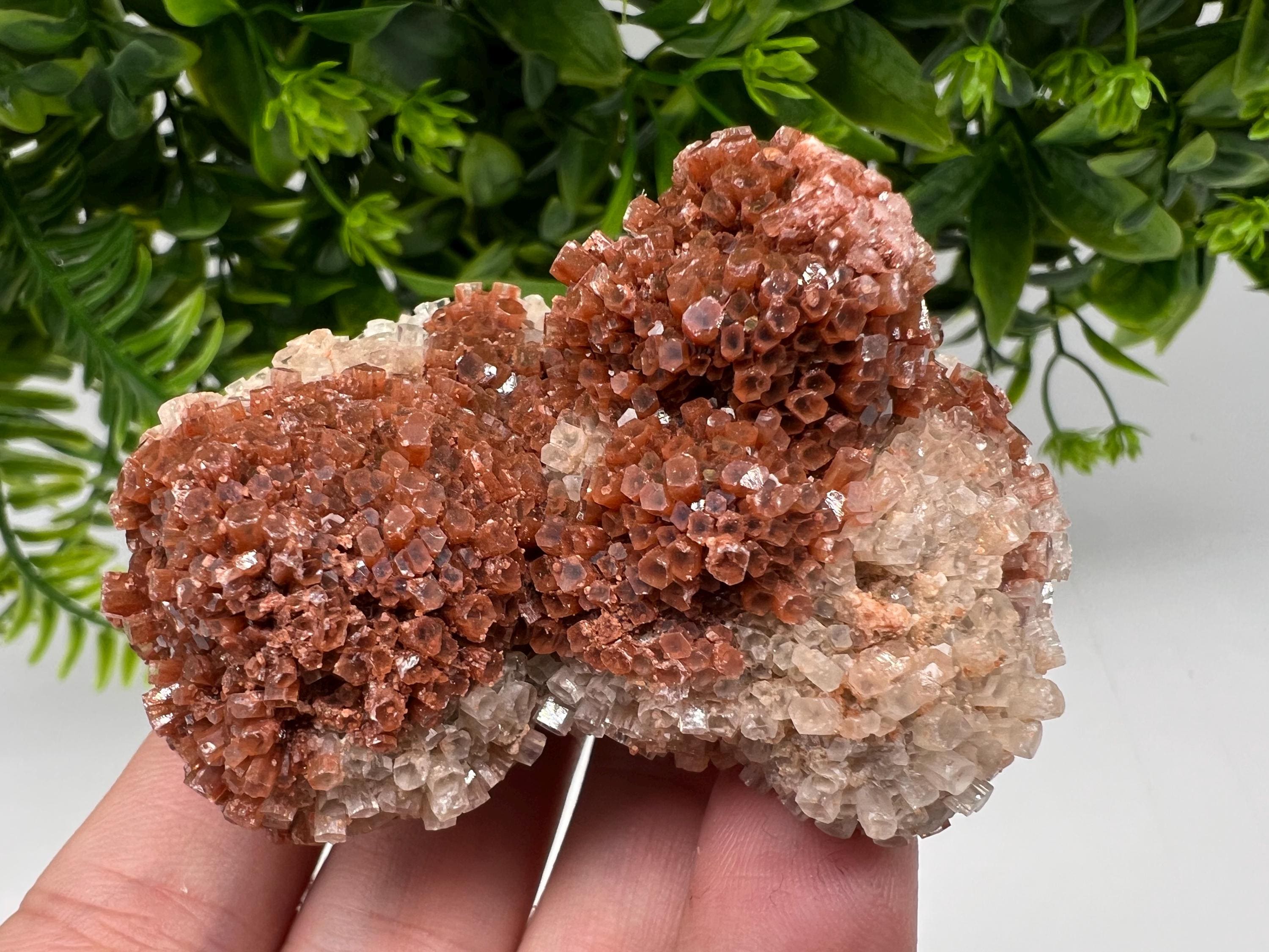 Large Aragonite Sputnik Cluster: Raw Moroccan Crystal Stone