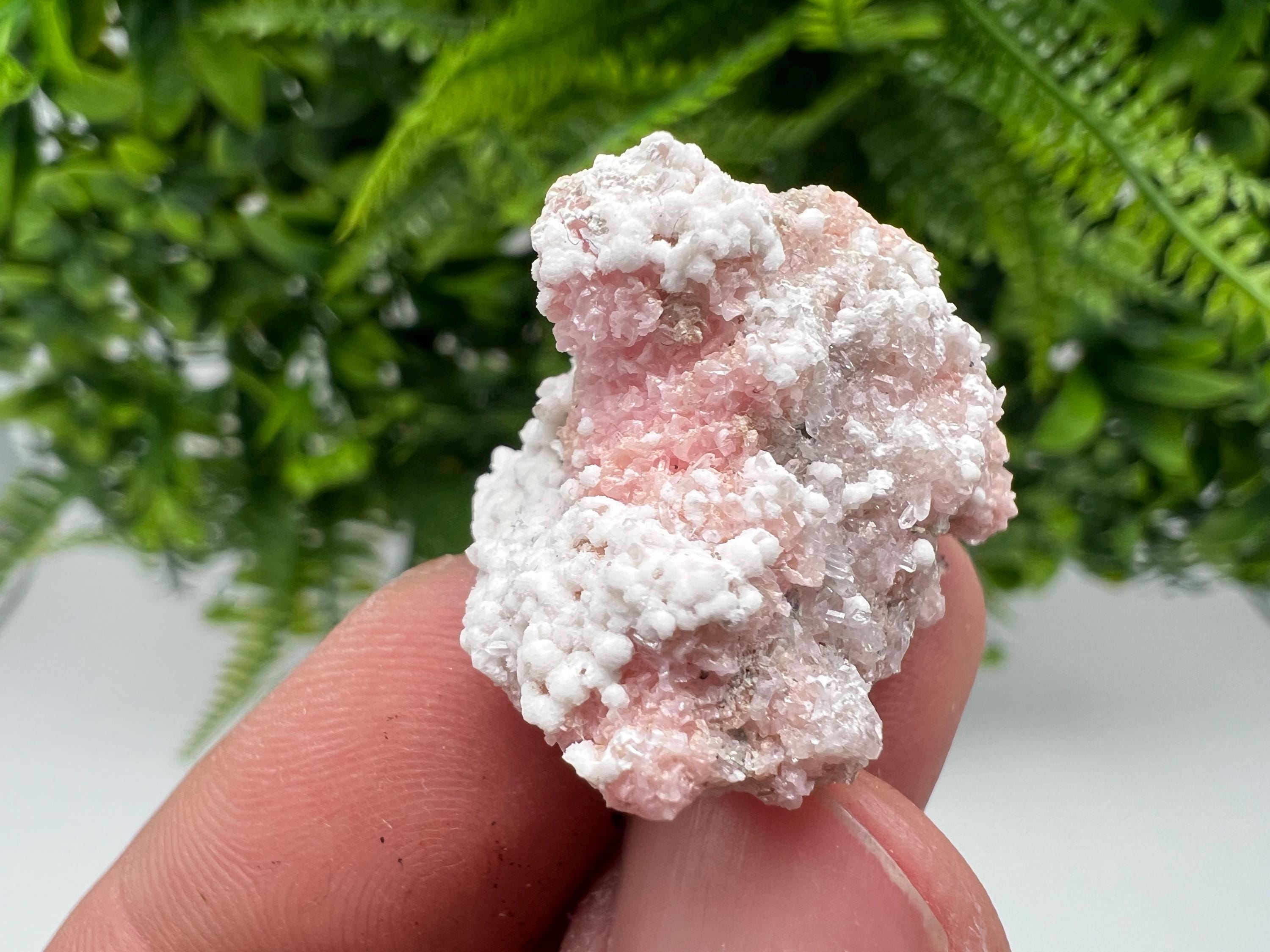 RARE Rhodochrosite whit white Calcite,pink mineral,Starnica Mine,Davidcovo,Bulgaria natural mineral,souvenir crystal,home decor,collectible