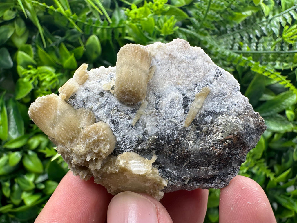 Rare Calcite Cluster on Matrix, Bulgarian Mineral Specimen