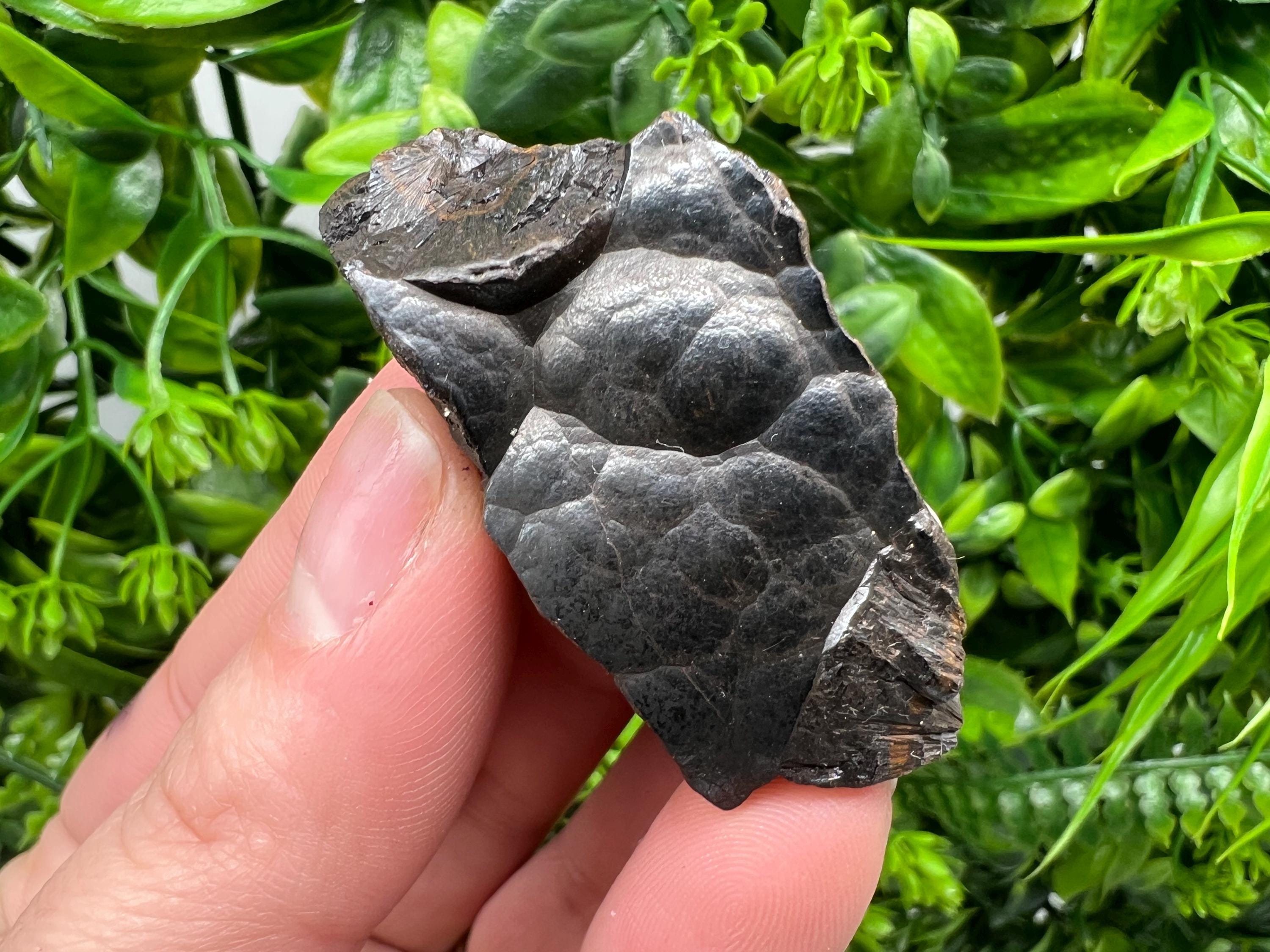Moroccan Botryoidal Black Hematite Crystal Specimen, Reiki Chakra Stone