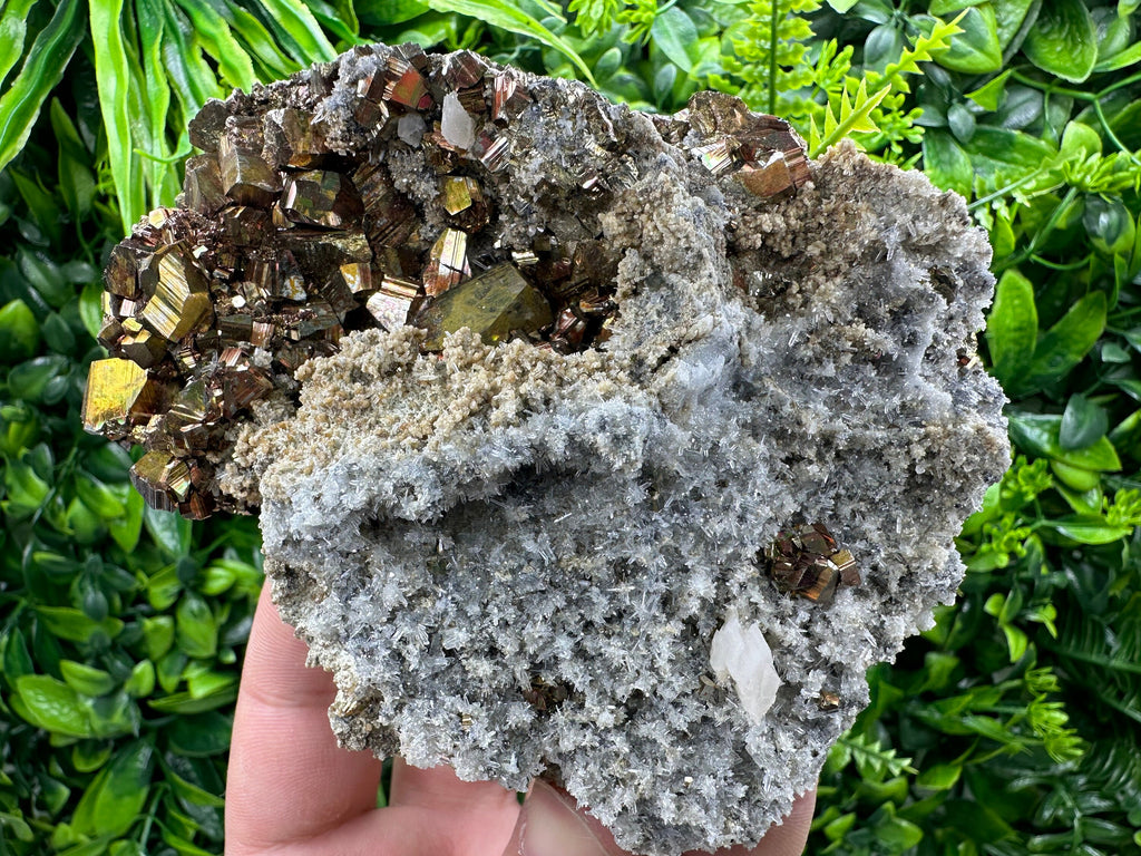 Pyrite on Quartz and Calcite: Natural Mineral Collection, Borieva Bulgaria