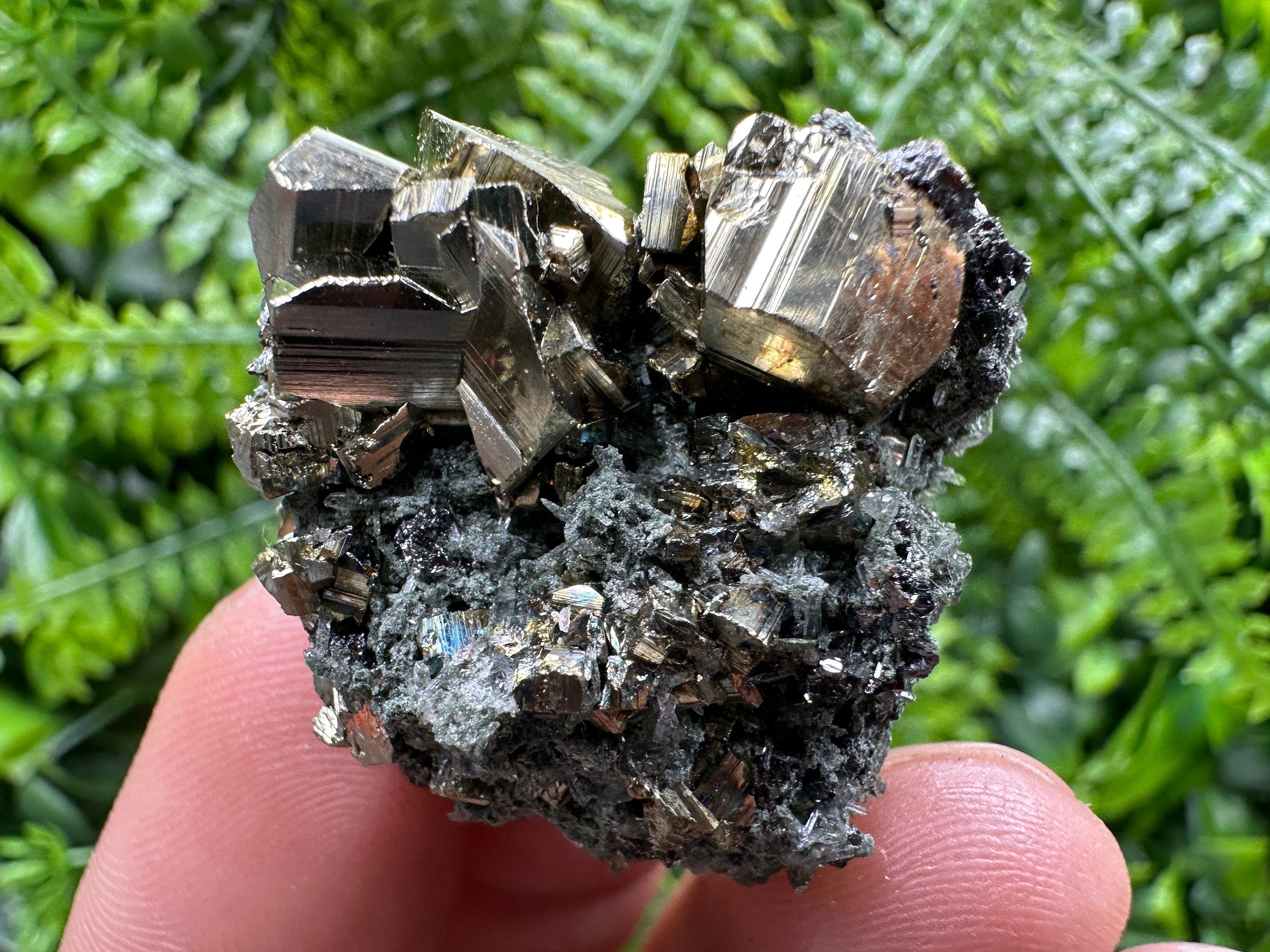 Pyrite on Quartz with Chlorite, Natural Crystal Mineral Specimen