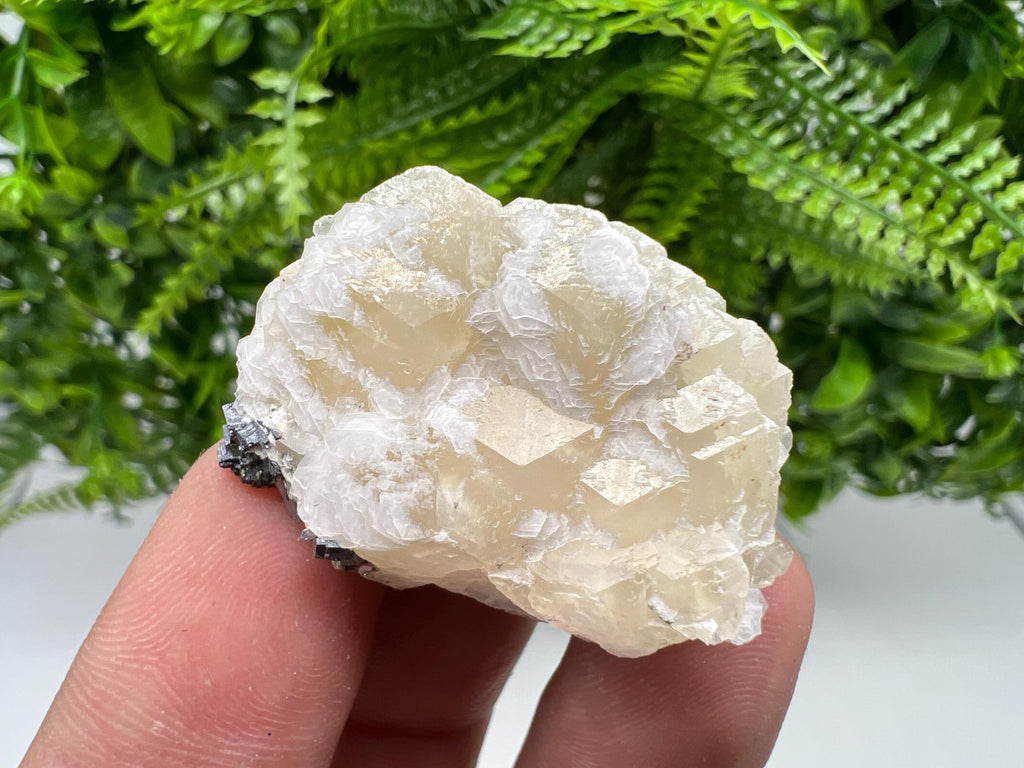 Calcite on Galena Specimen: Borieva Mine, Bulgaria