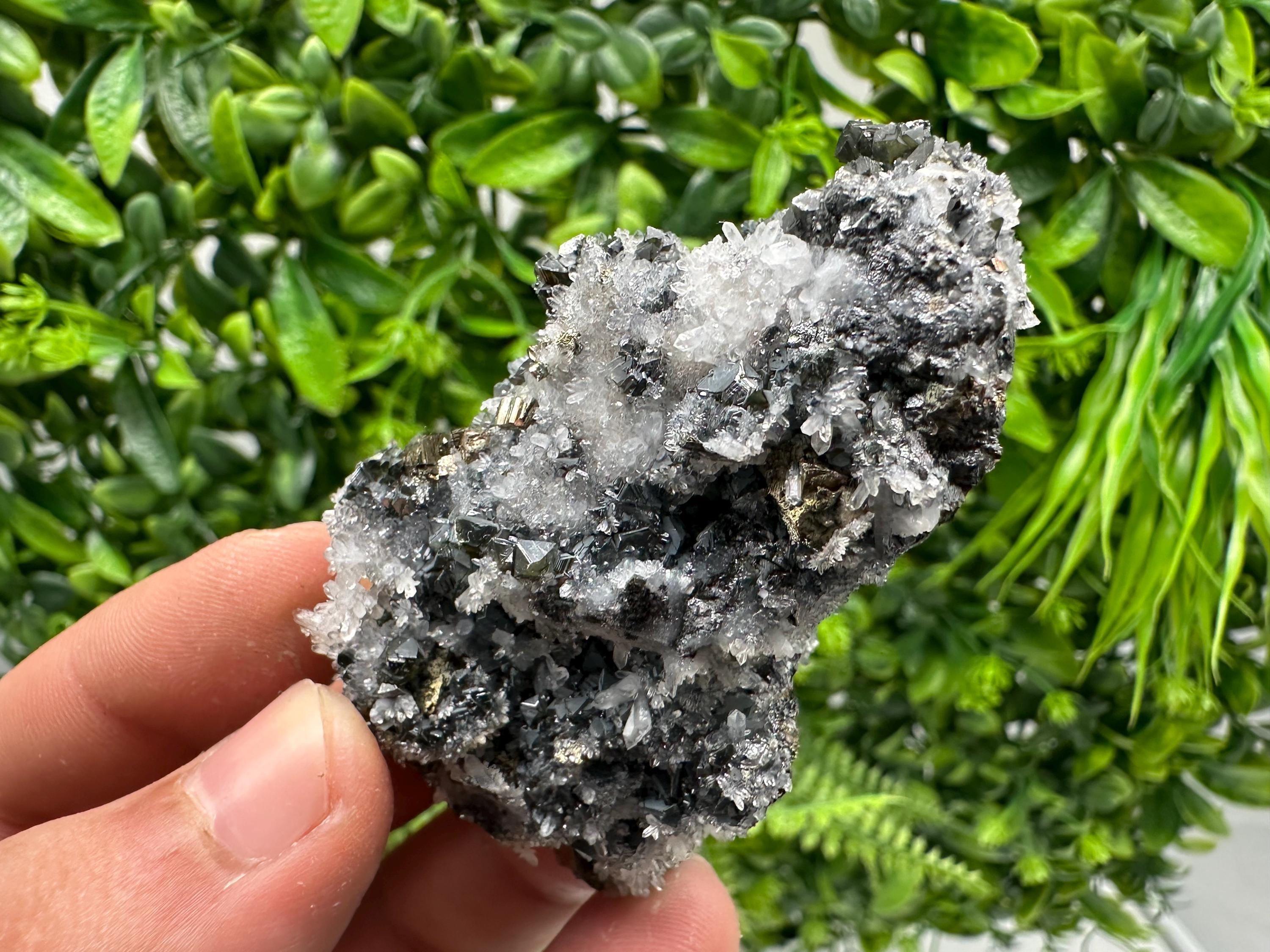 Quartz, Chlorite, Galena & Sphalerite Mineral Specimen: Borieva Mine
