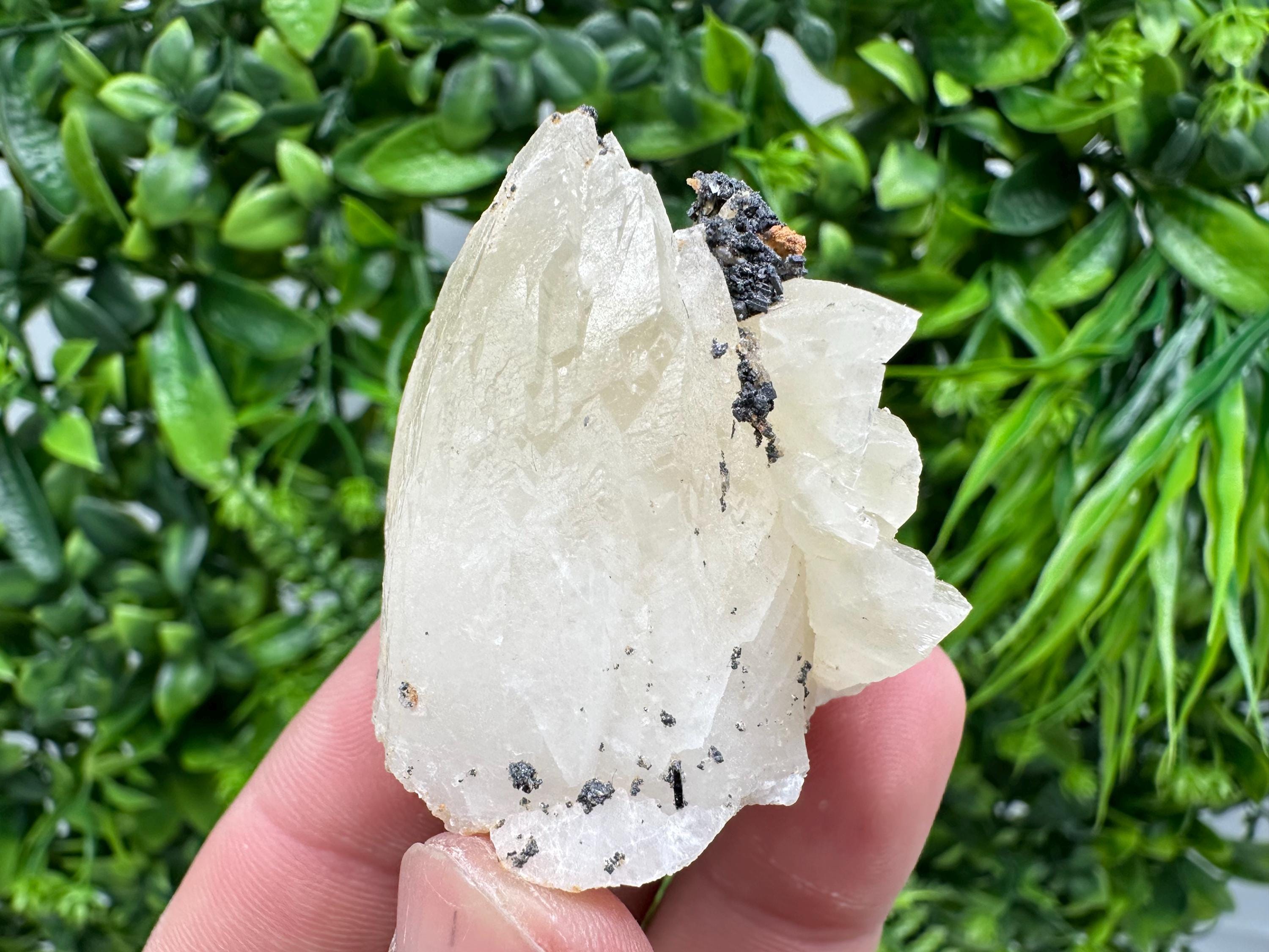 Calcite on Aragonite: Djurcovo Mine, Bulgaria Crystal