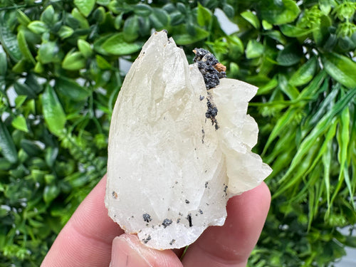 Calcite on Aragonite: Djurkovo Mine, Bulgaria Crystal