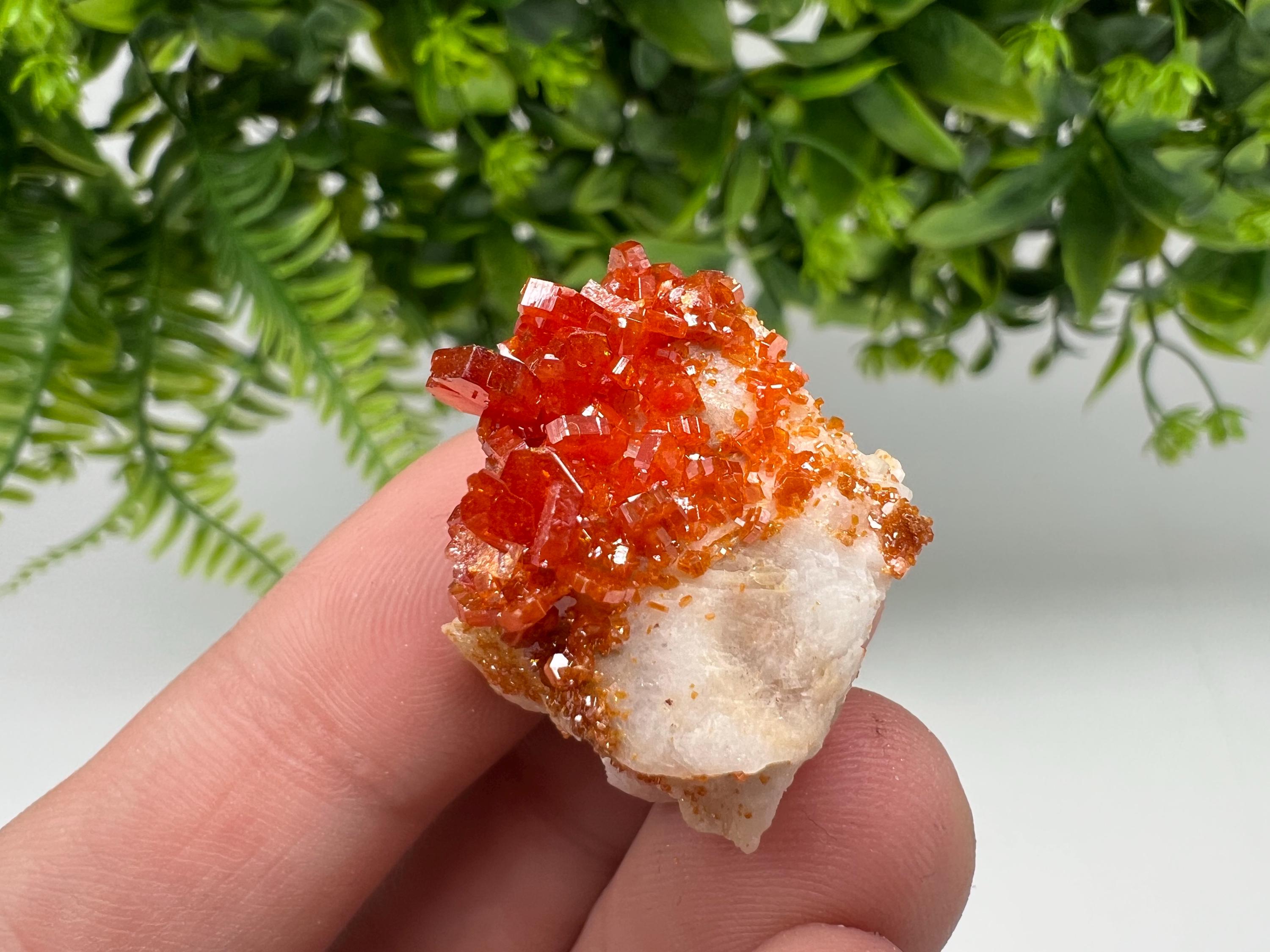 Red Vanadinite on Barite from Marocco,crystal minerals Speciment cluster Vanadinite crystal Vanadinite Geology Vanadinite cluster minerals