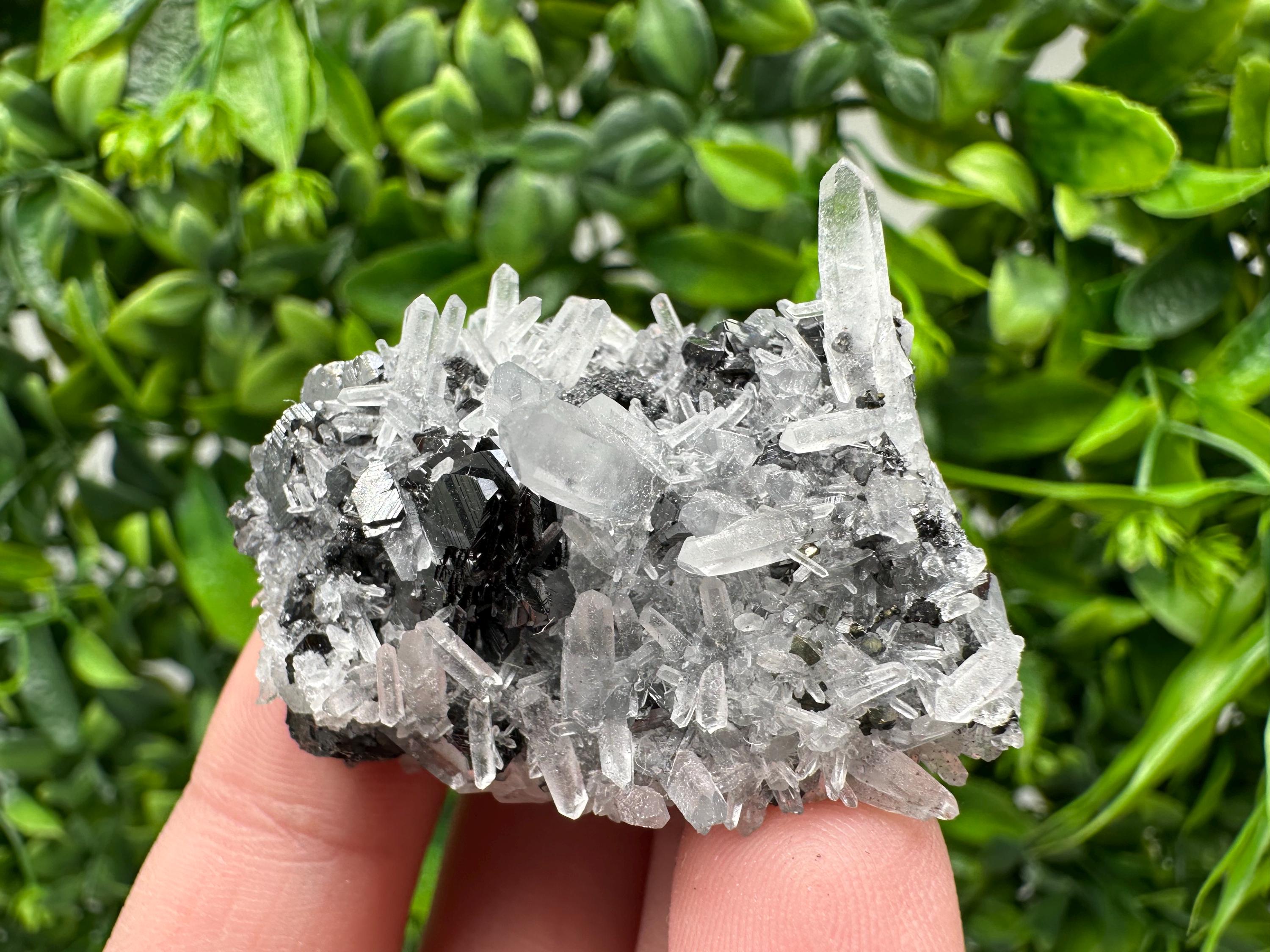 Wonderful Sphalerite Chalcopyrite on  Quartz whit Galena feom 9 th September mine,Bulgaria,natural,collection mineral specimen,gift