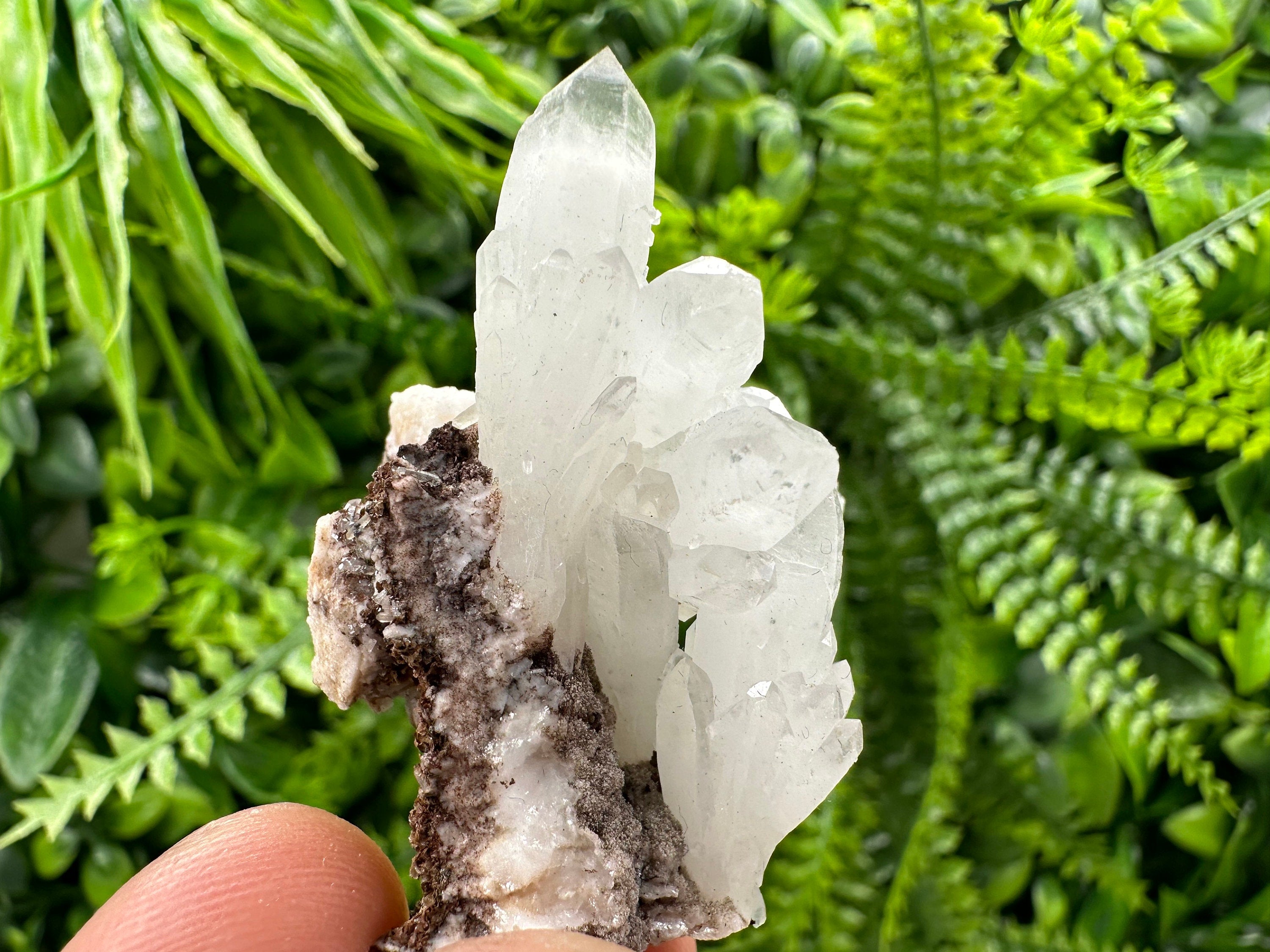 Quartz with Chlorite, Rhodochrosite and Siderite Mineral Specimen