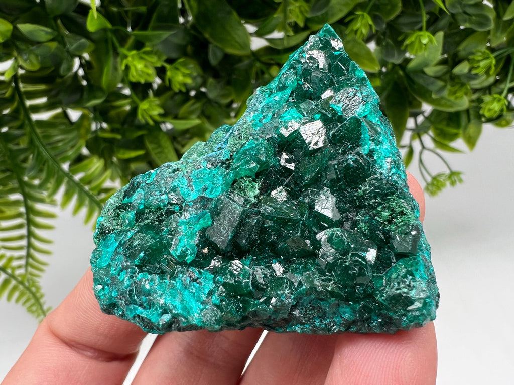 Stunning Green Dioptase from Sanda Hills,Mindouli,Pool Department,Mindouli District,Congo,green Dioptase,Dioptas Crystal,Dioptase collecting