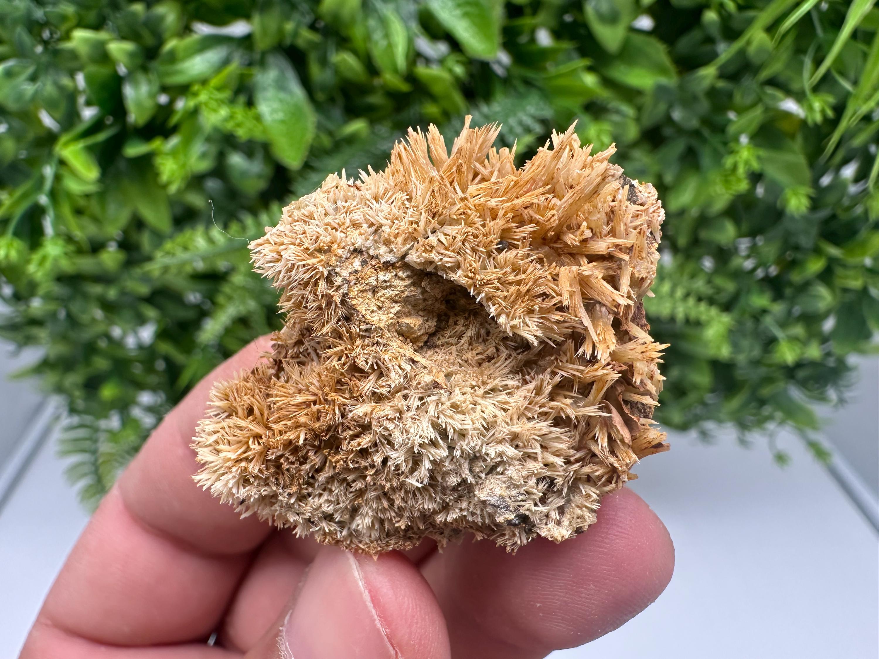Rare Green/Yellow Pyromorphite with Hematite on Quartz - Madjarovo Mine, Bulgaria