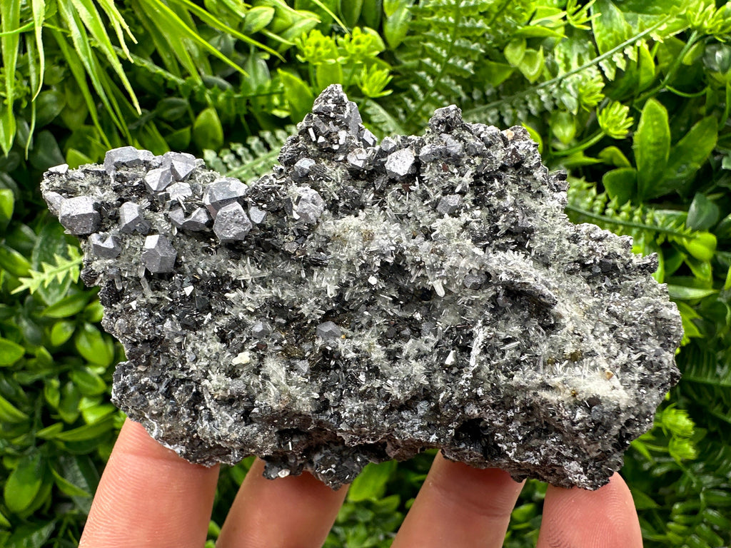 Sphalerite Pyrite on Quartz, Bulgaria Mineral Specimen (10/7/3.5 cm)