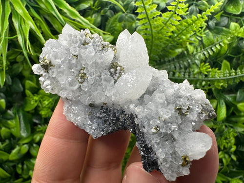 Chalcopyrite on Quartz Cluster, Krushev Dol Mine, Bulgaria, Mineral Specimen