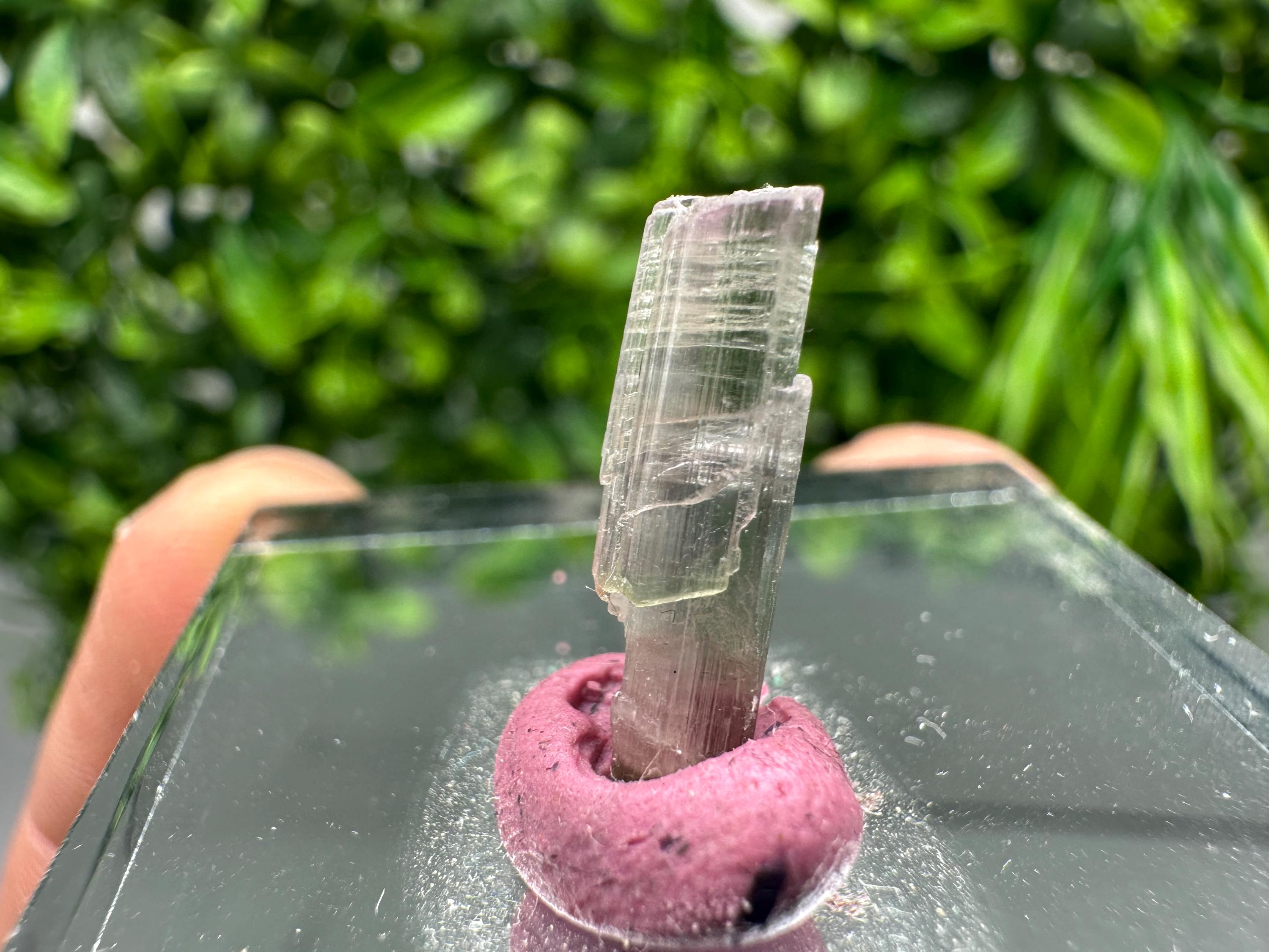 Rare Pink & Green Rubellite Tourmaline Pencil: 17mm Raw Crystal