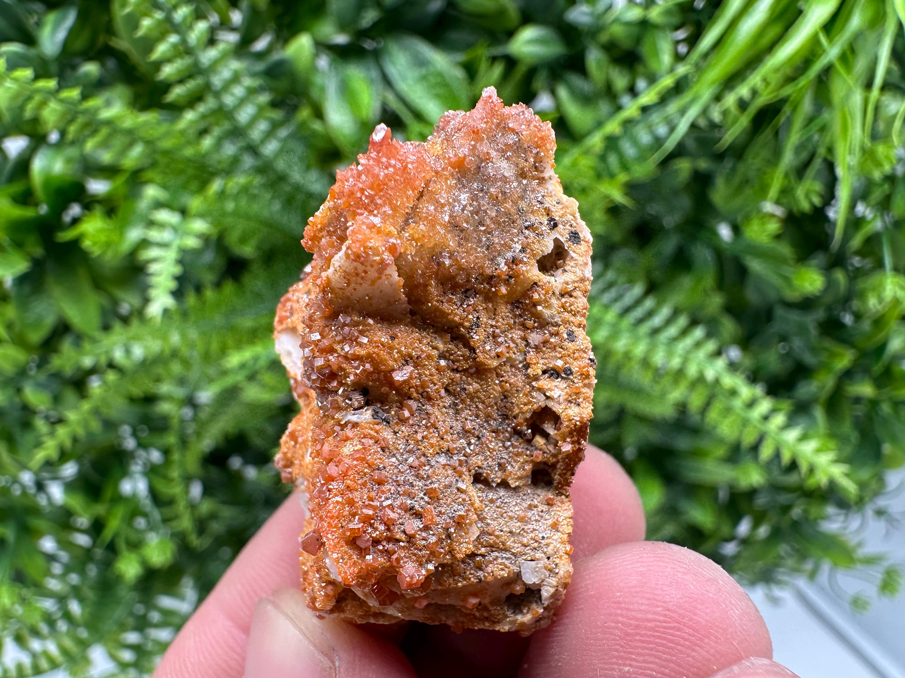 Red Vanadinite Crystal Cluster on Matrix, Morocco Mineral Specimen