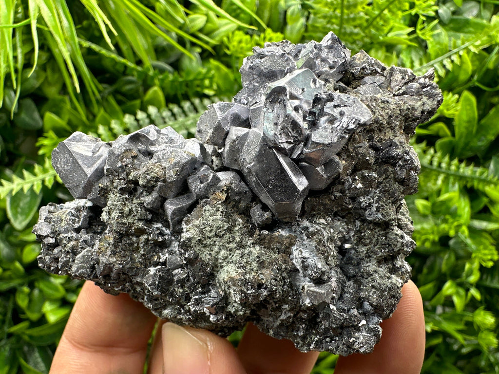 Galena Cluster on Matrix: Natural Mineral Specimen, Bulgaria