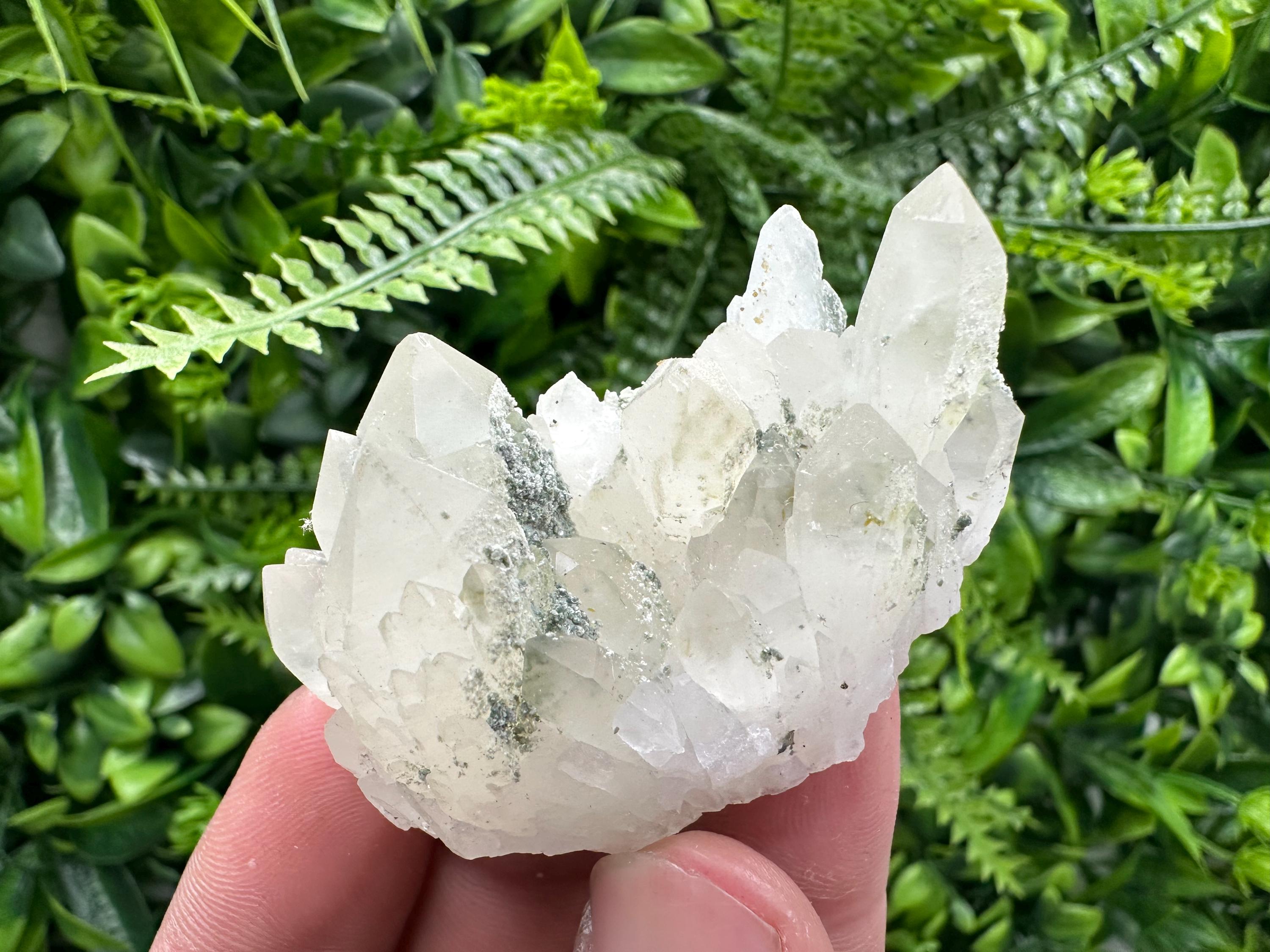 Limonite Quartz with Chlorite Inclusion: Djurcovo Laki Bulgaria Crystal