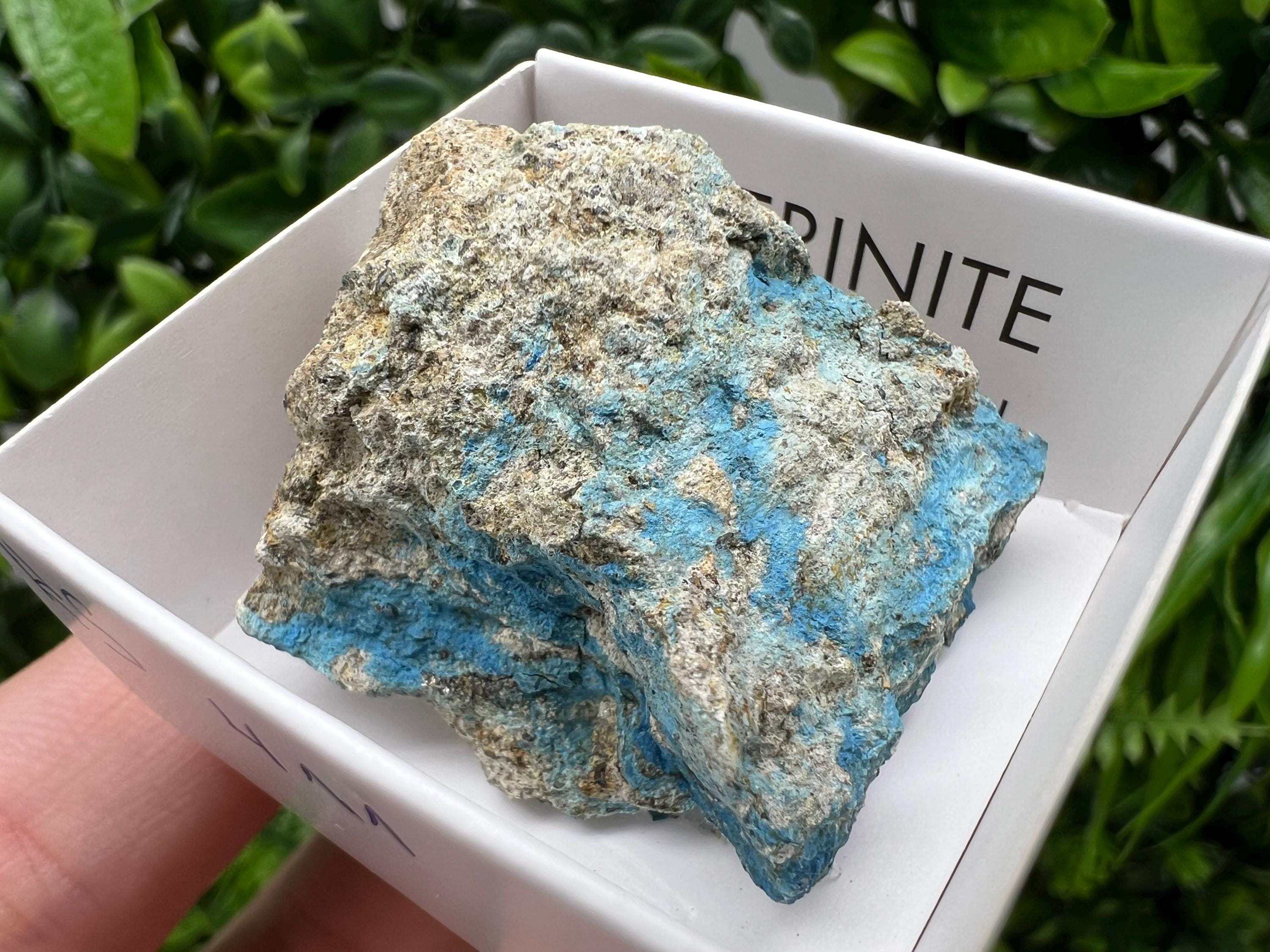 Rare Raw Aerinite Mineral Specimen: Collection Crystal from Lleida, Spain (3.5/3.5cm)