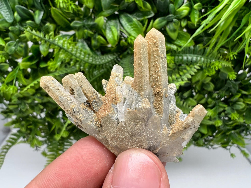 Quartz whit Brown Rhodochrosite from Djurcovo mine,Bulgaria,Quartz,Rhodochrosite cluster,natural mineral,collection crystal,mineral specimen
