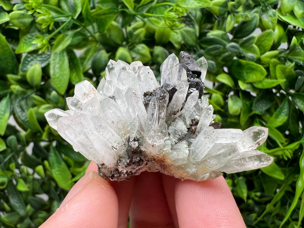 Transparent Quartz,Chlorite,Chalcopyrite Matrix,From Borieva mine,Madan,Bulgaria,Quartz,Quartz crystal,mineral specimen,collection quartz