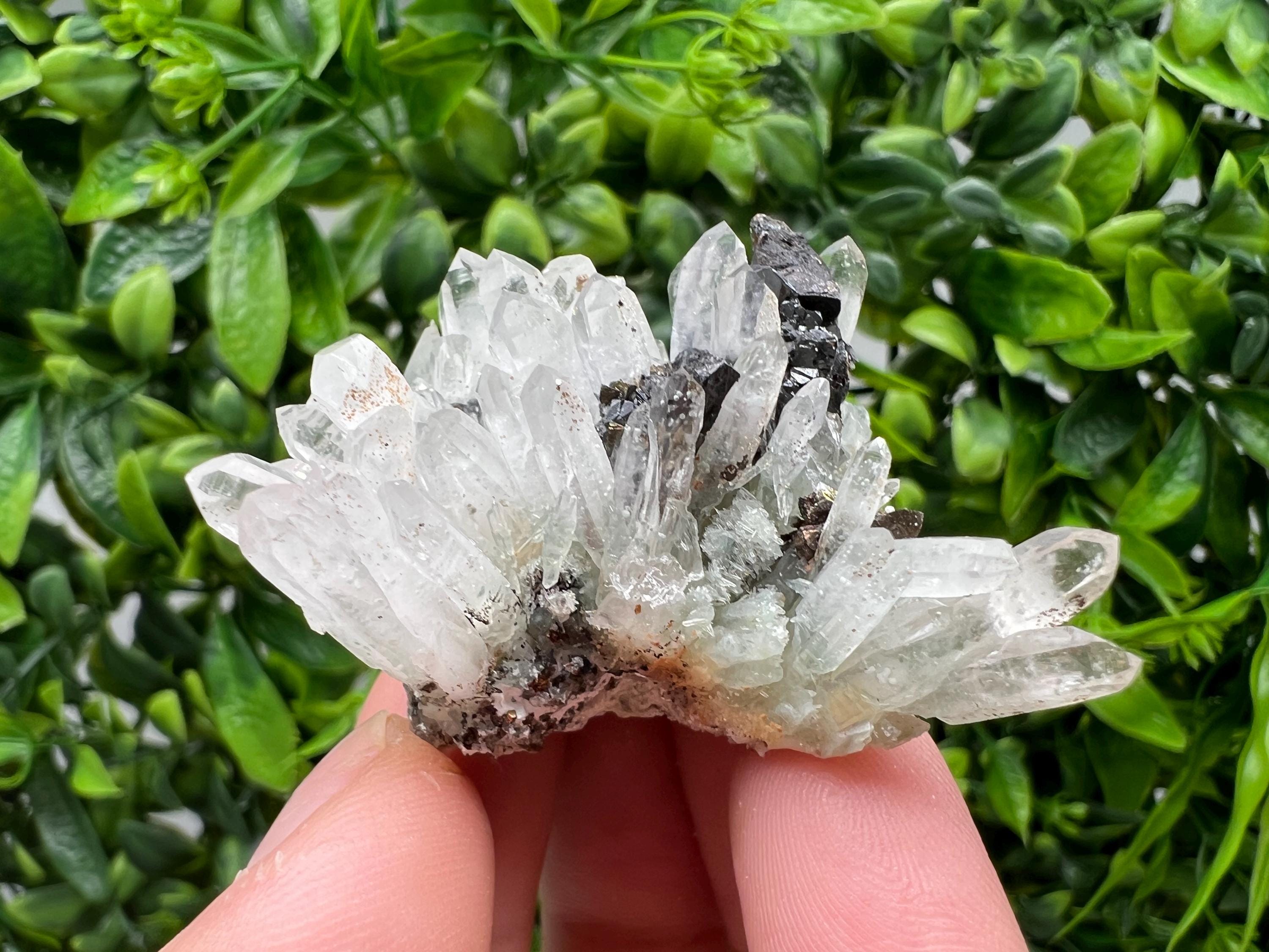 Transparent Quartz,Chlorite,Chalcopyrite Matrix,From Borieva mine,Madan,Bulgaria,Quartz,Quartz crystal,mineral specimen,collection quartz