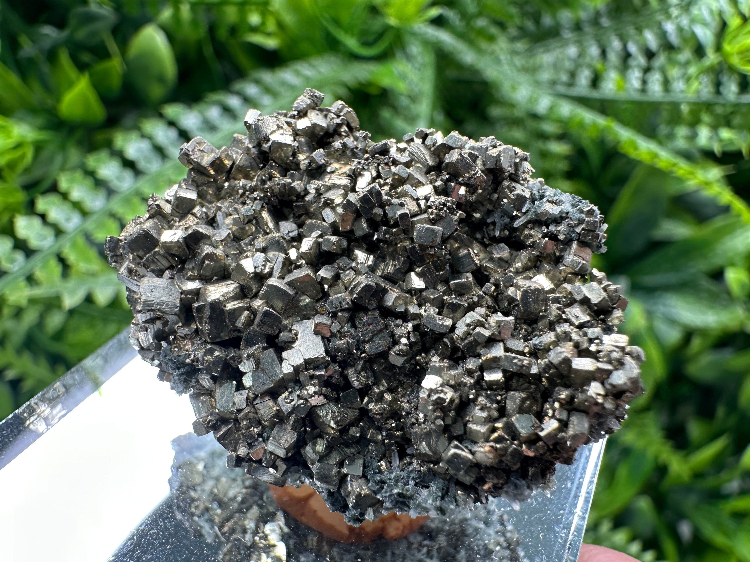 Rare Golden Pyrite Cluster: Borieva Mine, Bulgaria