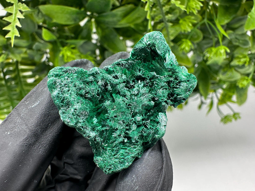 Malachite Crystal from Congo,Minerals,Crystals from Congo,Green Malachite, Malachite,Natural Malachite,Malachite Stone,Chakra, Specimens