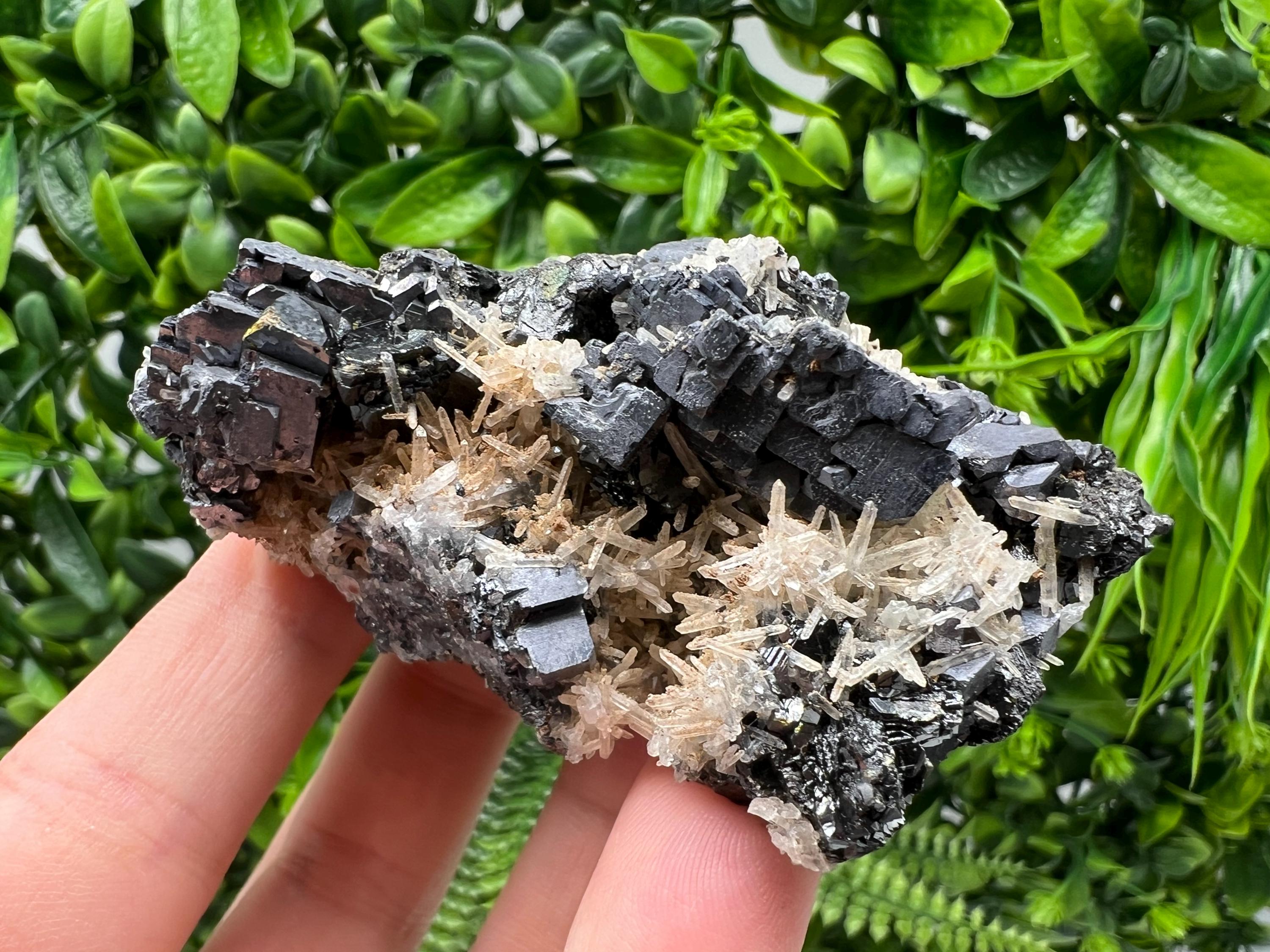Galena Cluster with Siderite and Quartz, 9th September Mine, Bulgaria