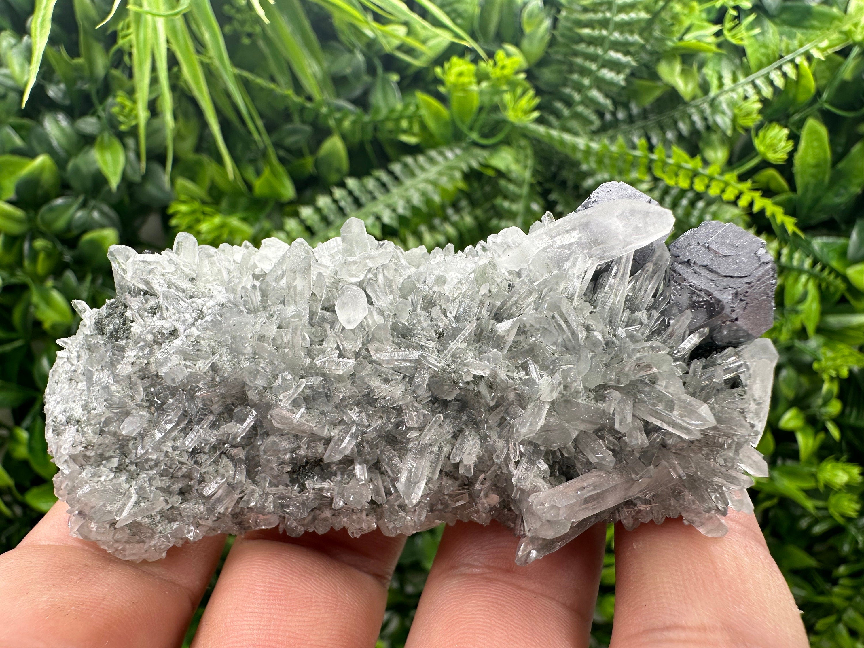 Shiny Galena on Green Quartz with Chlorite Inclusions - Borieva Mine
