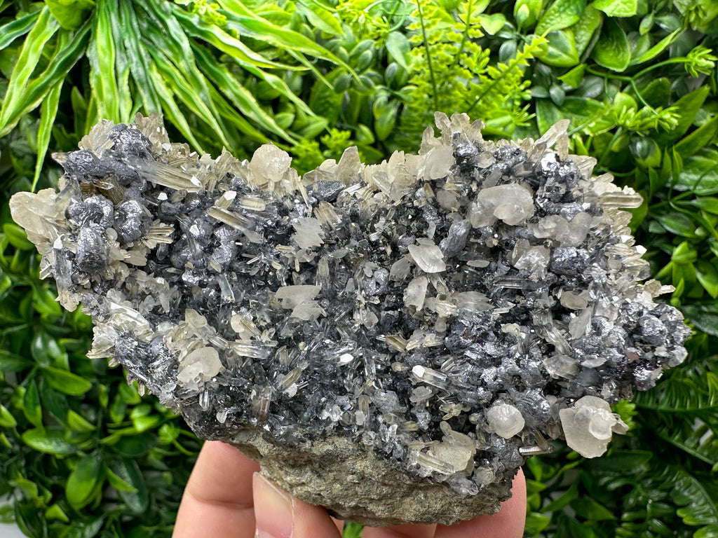 Calcite Quartz on Galena Mineral Specimen: Borieva Mine, Bulgaria