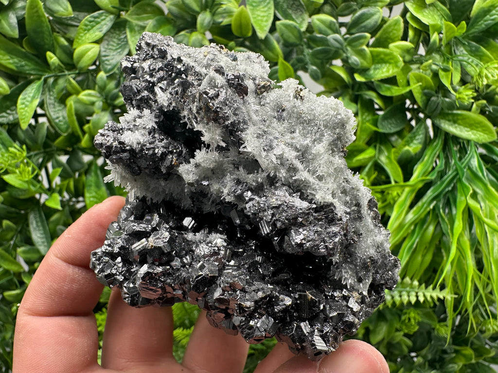 Sphalerite on Green Quartz, Borieva Mine Mineral Specimen