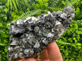 Sphalerite with Galena, Borieva Mine, Bulgaria, Mineral Specimen