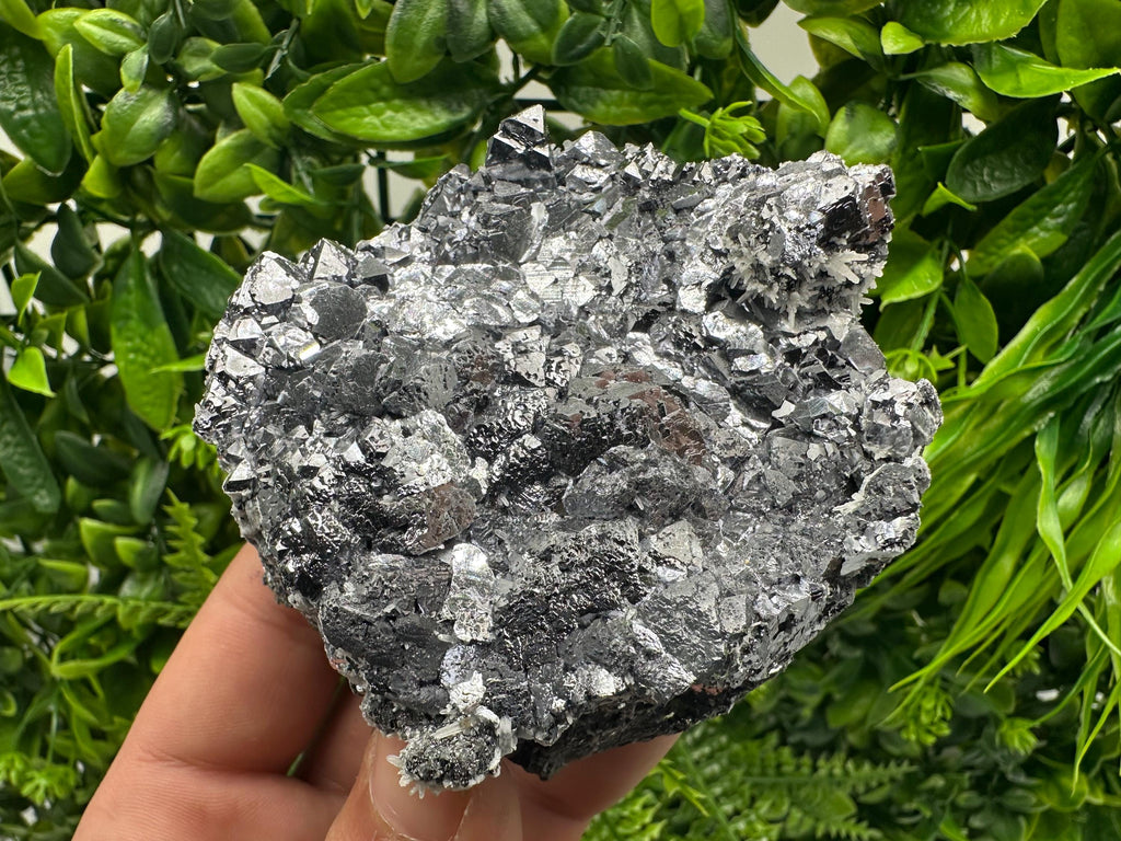 Galena with Quartz Mineral Specimen, Krushev dol Mine, Bulgaria
