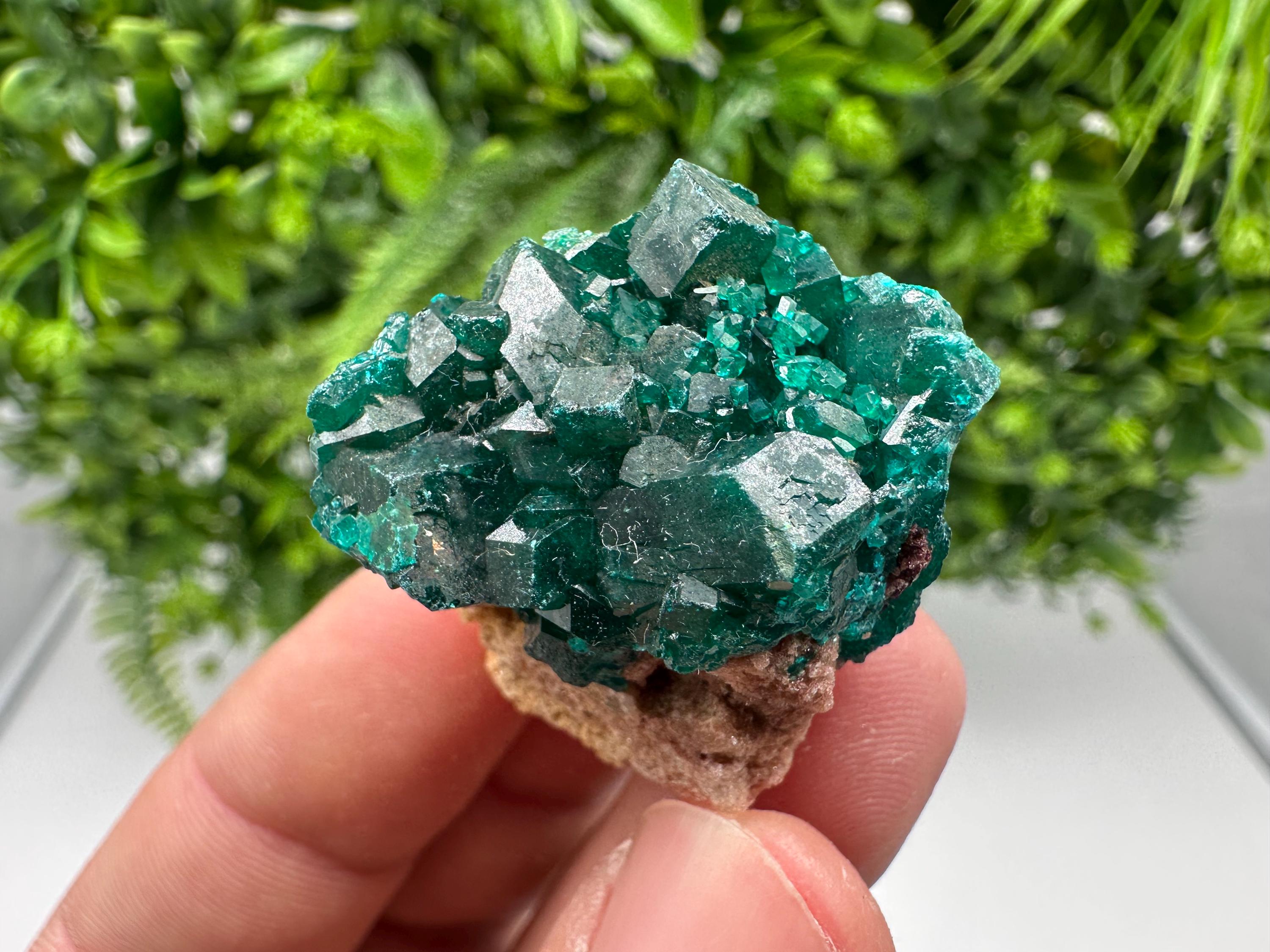Stunning Green Dioptase from Sanda Hills,Mindouli,Pool Department,Mindouli District,Congo,green Dioptase,Dioptas Crystal,Dioptase collecting