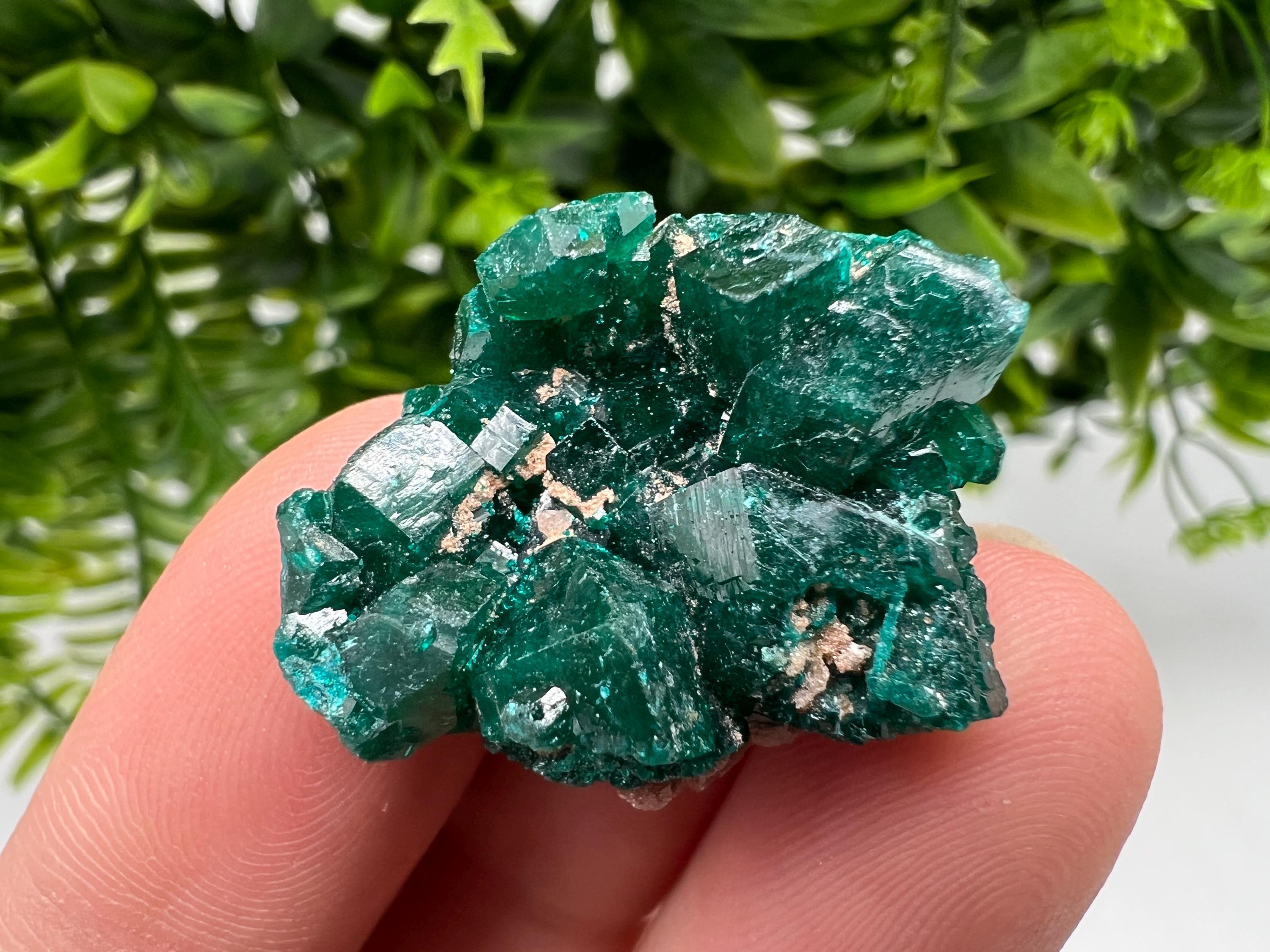 Stunning Green Dioptase from Sanda Hills,Mindouli,Pool Department,Mindouli District,Congo,green Dioptase,Dioptas Crystal,Dioptase collecting